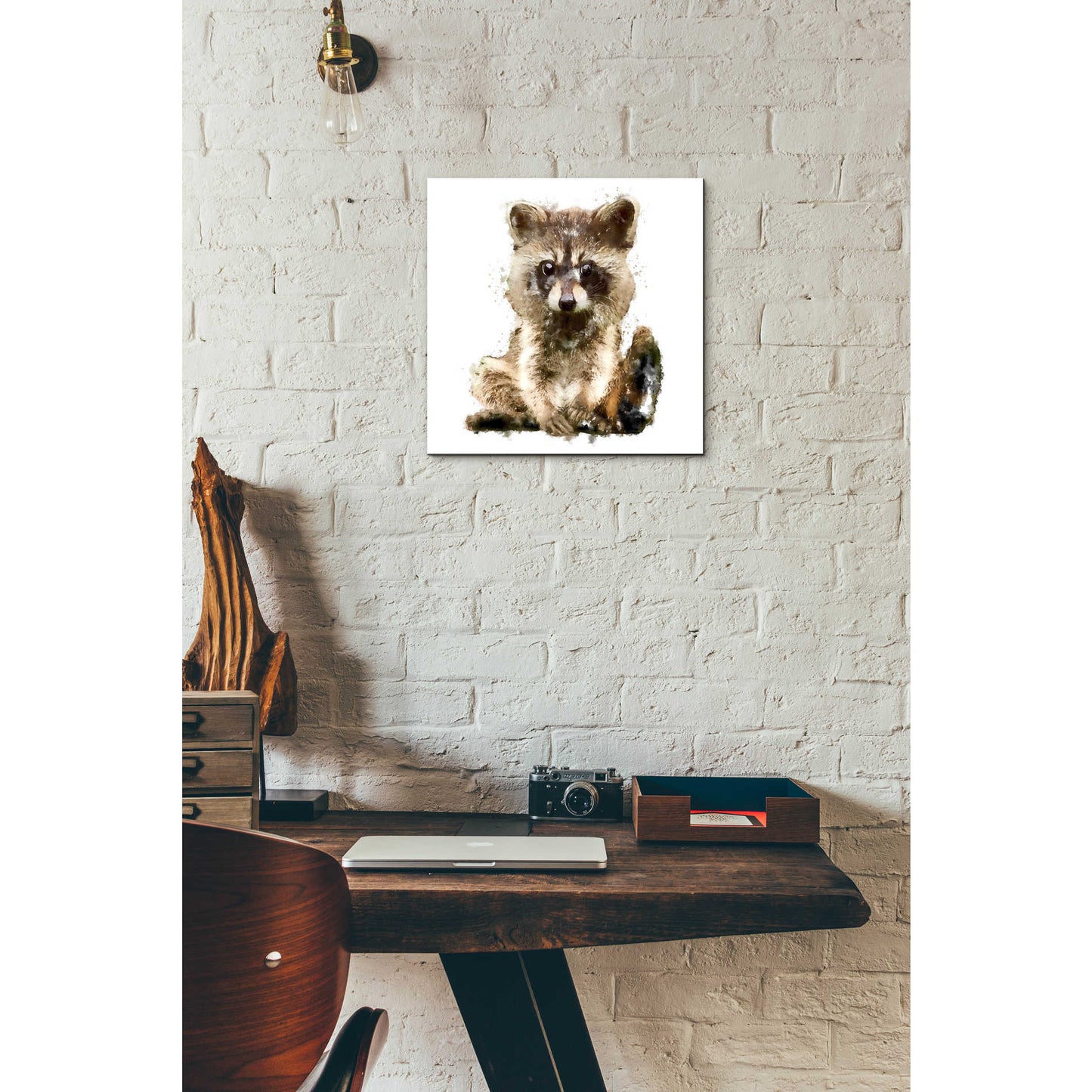 Epic Art 'Ricky Racoon' by Kim Curinga, Acrylic Glass Wall Art,12x12