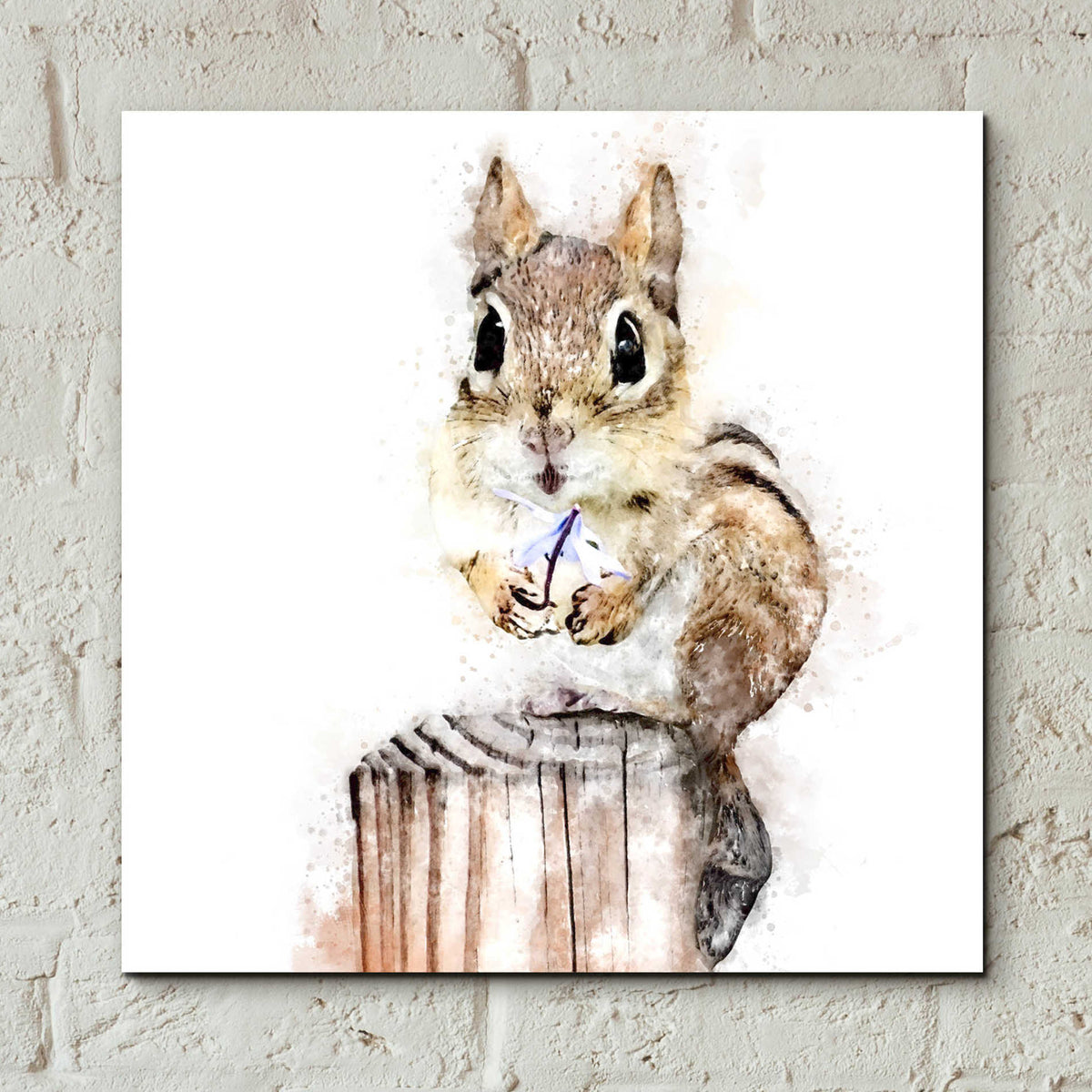 Epic Art 'Chippy With Flower' by Kim Curinga, Acrylic Glass Wall Art,12x12