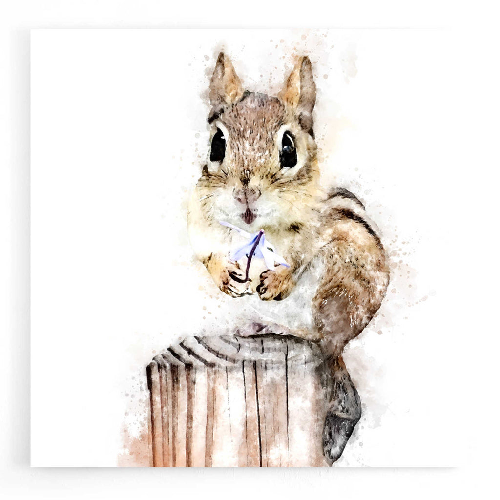 Epic Art 'Chippy With Flower' by Kim Curinga, Acrylic Glass Wall Art
