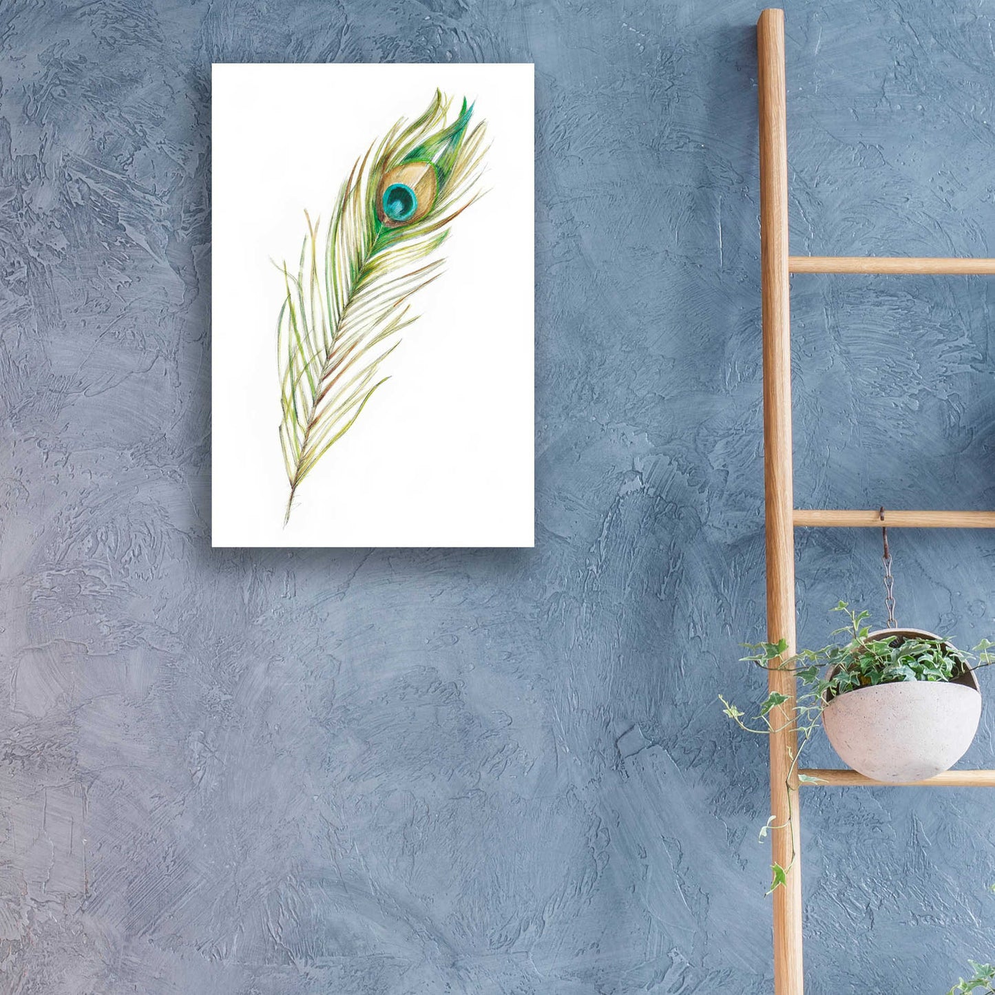 Epic Art "Watercolor Peacock Feather II" by Ethan Harper, Acrylic Glass Wall Art,16x24