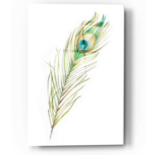 Epic Art "Watercolor Peacock Feather II" by Ethan Harper, Acrylic Glass Wall Art