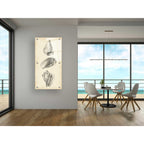 Epic Art "Antique Shell Study Panel II" by Ethan Harper, Acrylic Glass Wall Art,24x48
