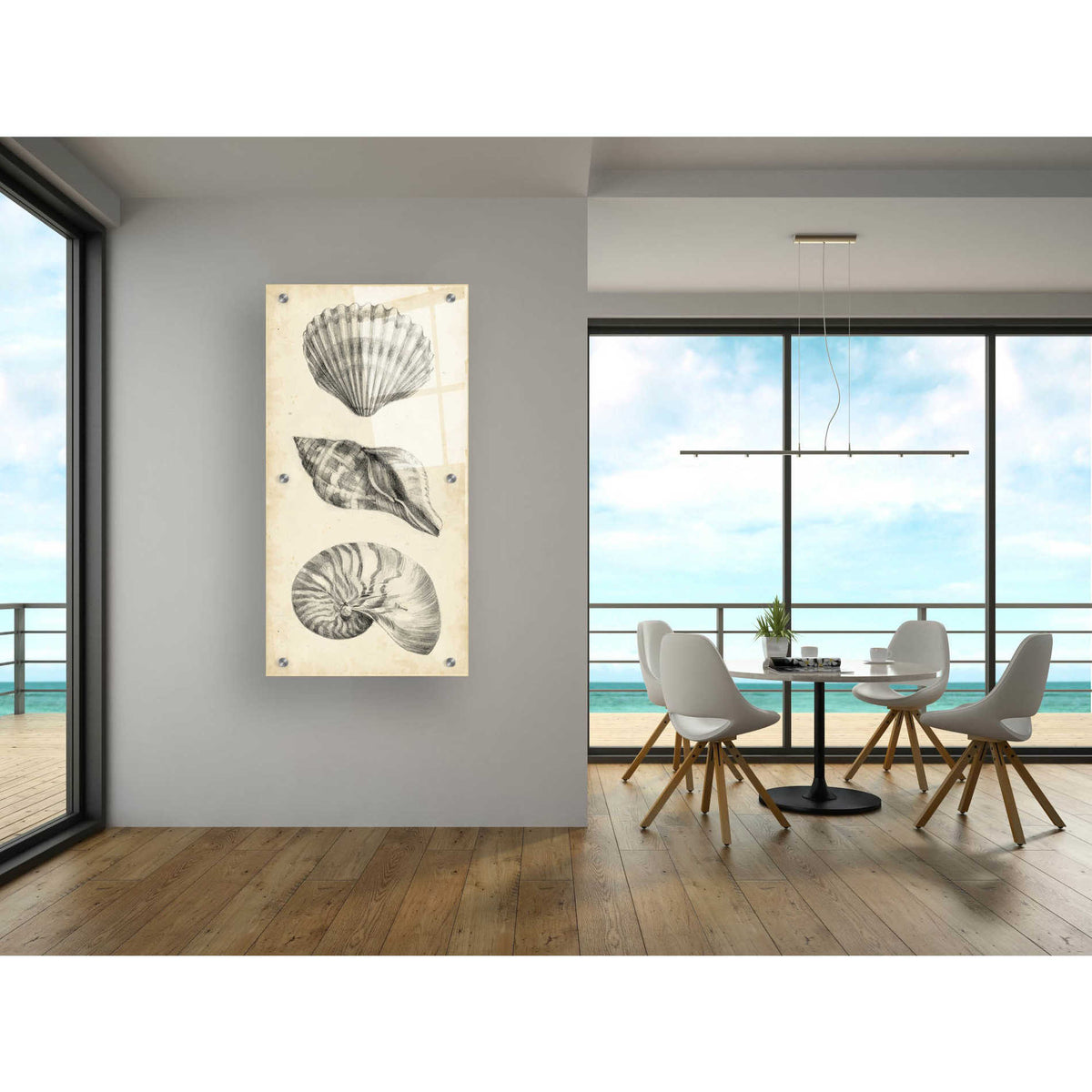 Epic Art "Antique Shell Study Panel I" by Ethan Harper, Acrylic Glass Wall Art,24x48