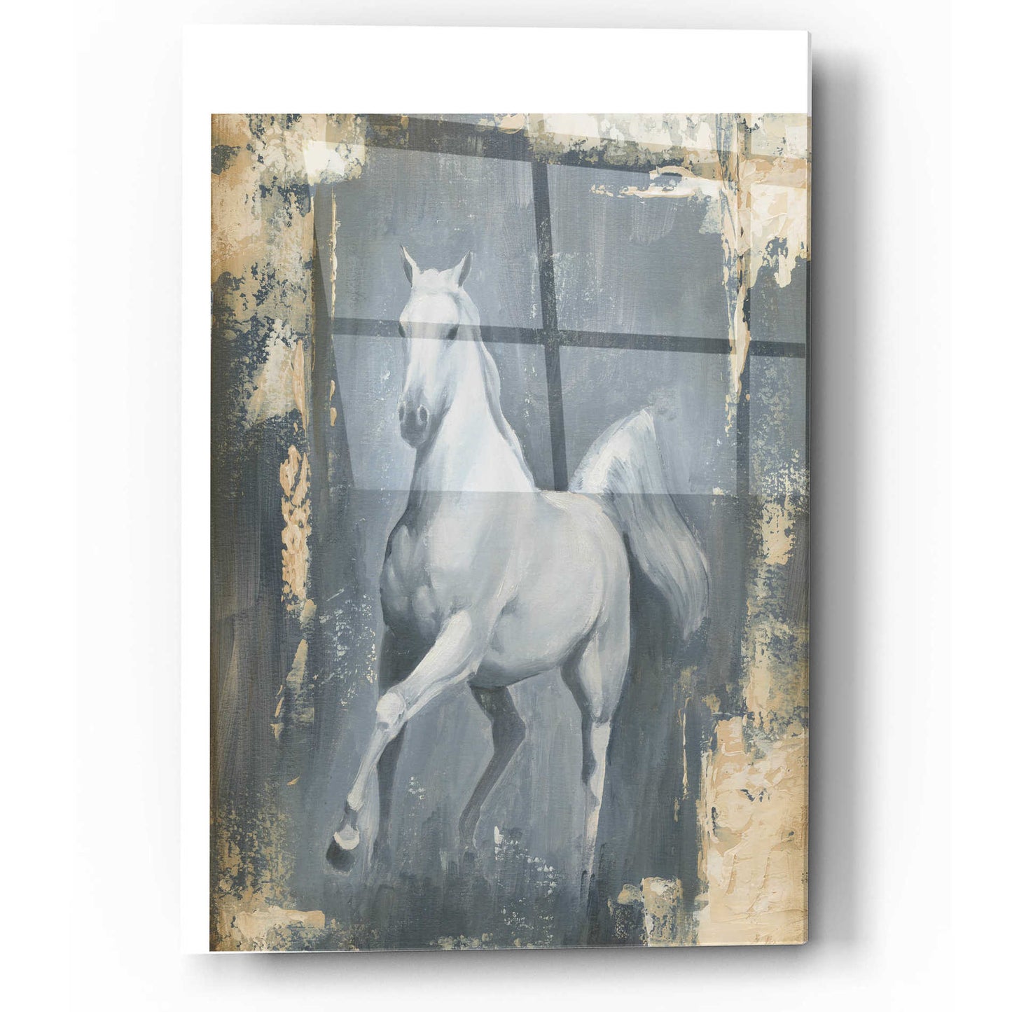 Epic Art "Running Stallion II" by Ethan Harper, Acrylic Glass Wall Art,12x16