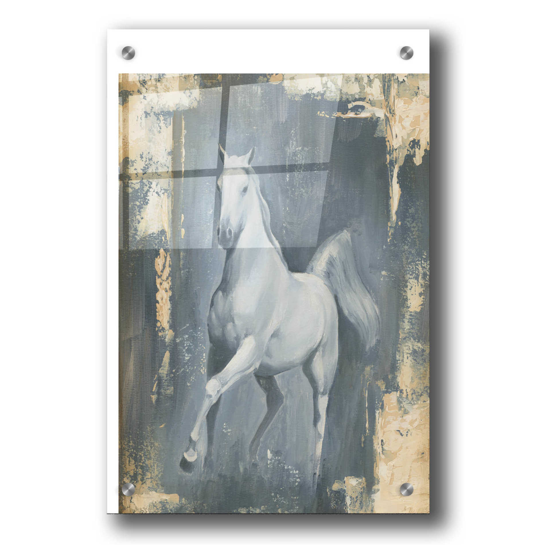 Epic Art "Running Stallion II" by Ethan Harper, Acrylic Glass Wall Art,24x36