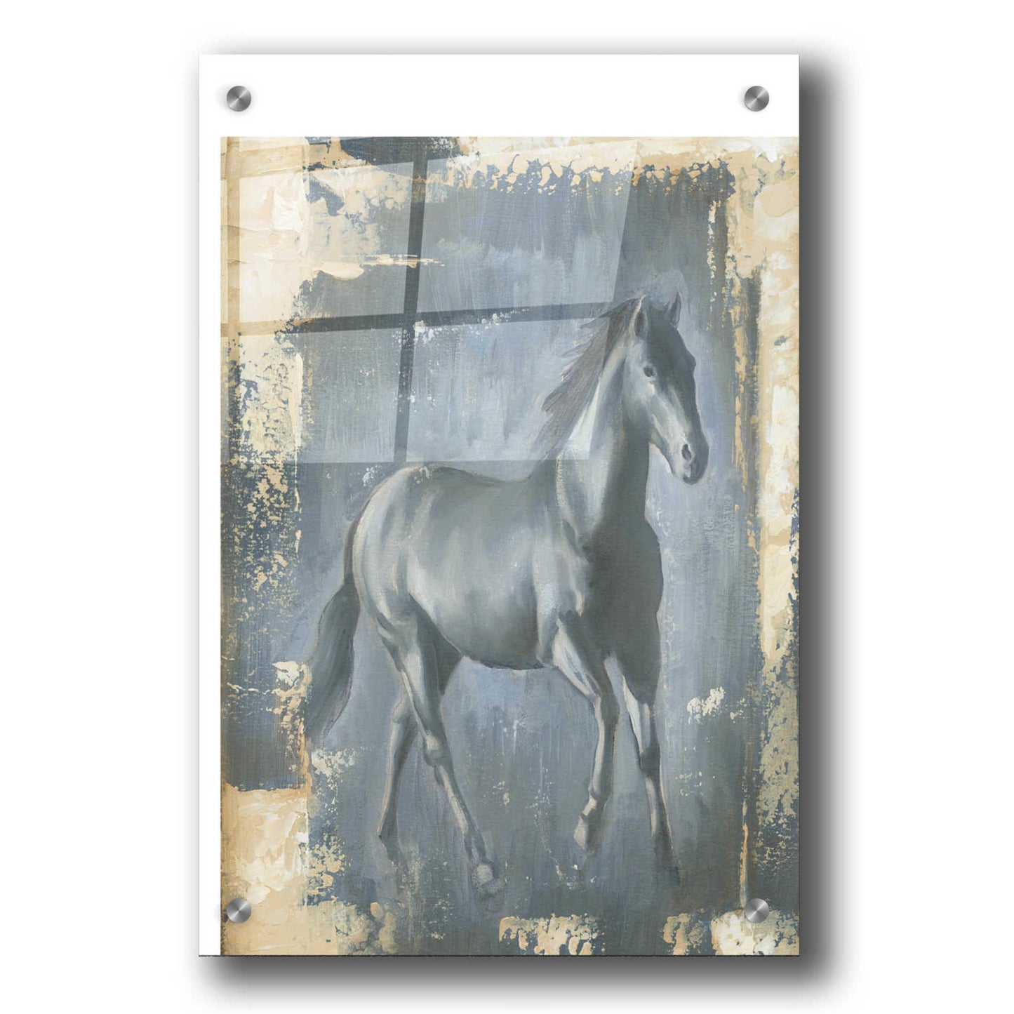 Epic Art "Running Stallion I" by Ethan Harper, Acrylic Glass Wall Art,24x36