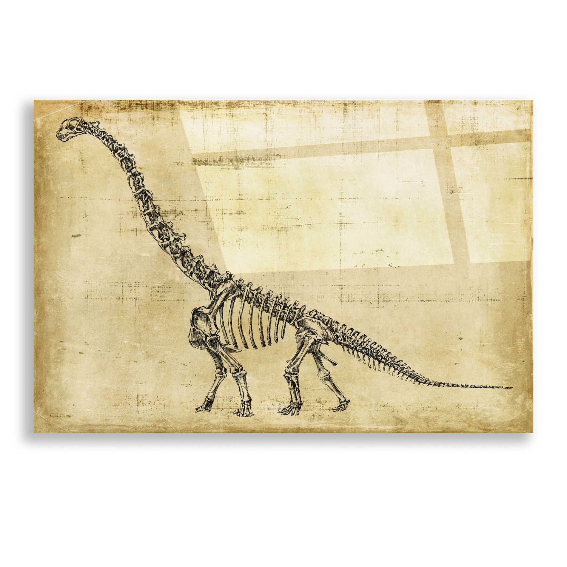Epic Art "Brachiosaurus Study" by Ethan Harper, Acrylic Glass Wall Art,16x12