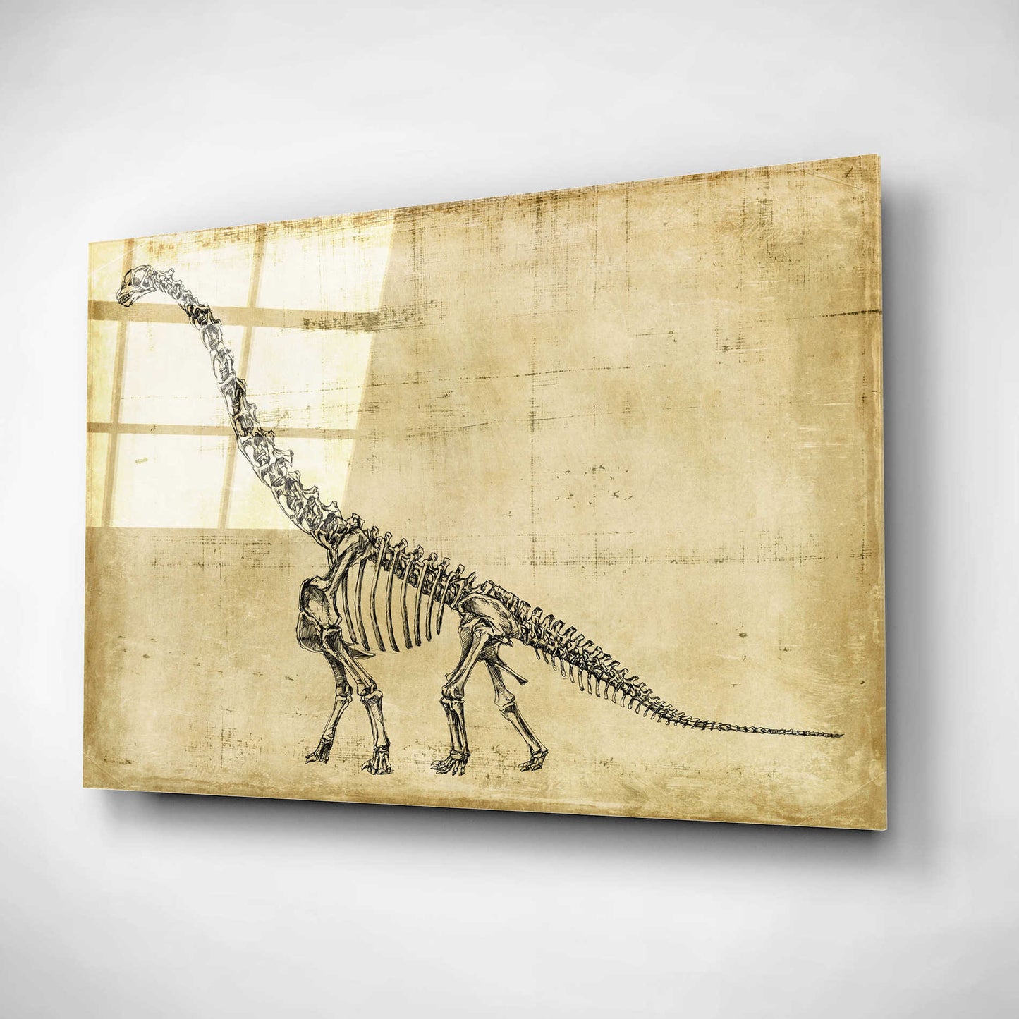 Epic Art "Brachiosaurus Study" by Ethan Harper, Acrylic Glass Wall Art,24x16