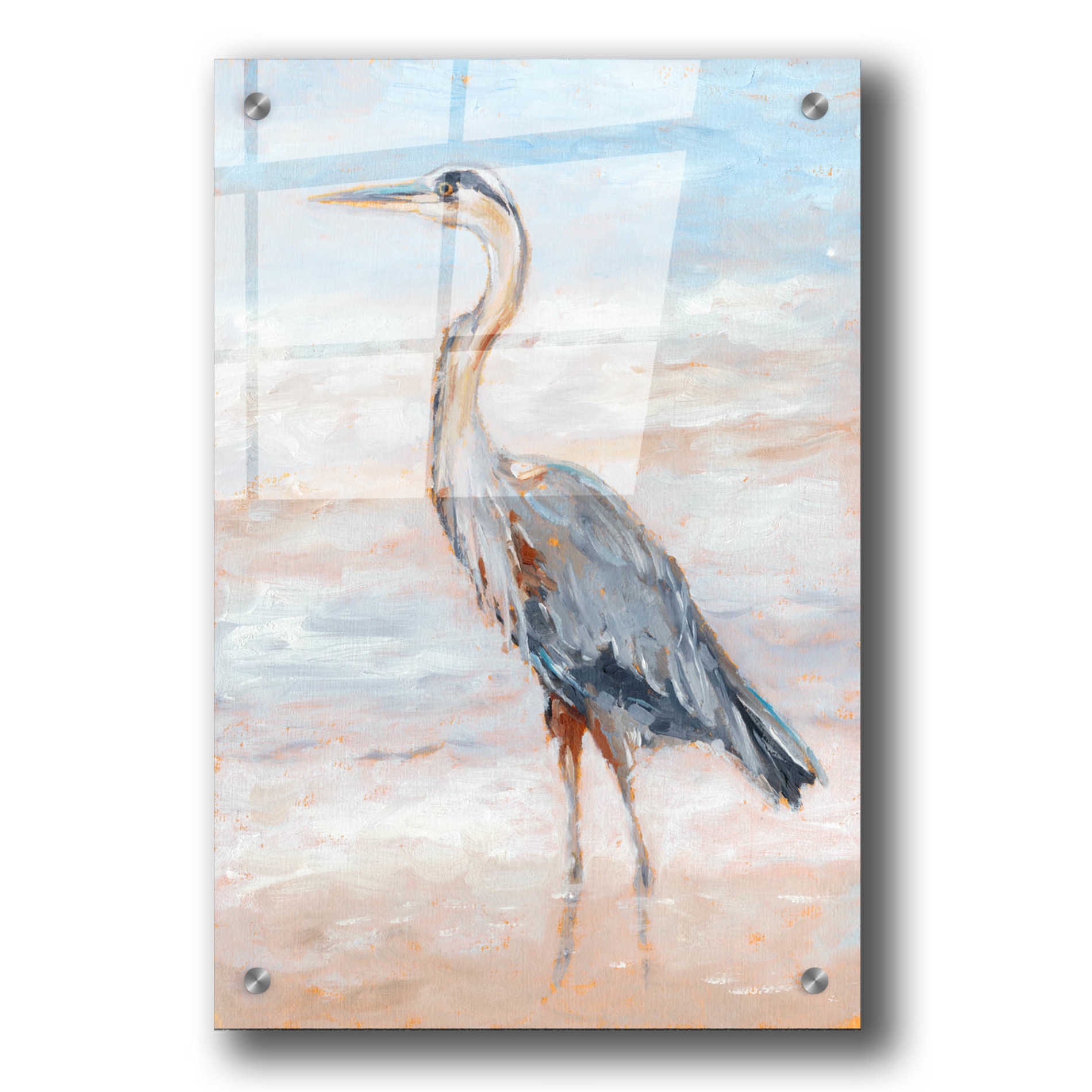 Epic Art "Beach Heron II" by Ethan Harper, Acrylic Glass Wall Art,24x36