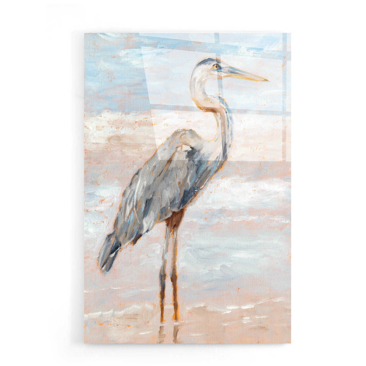 Epic Art "Beach Heron I" by Ethan Harper, Acrylic Glass Wall Art,16x24