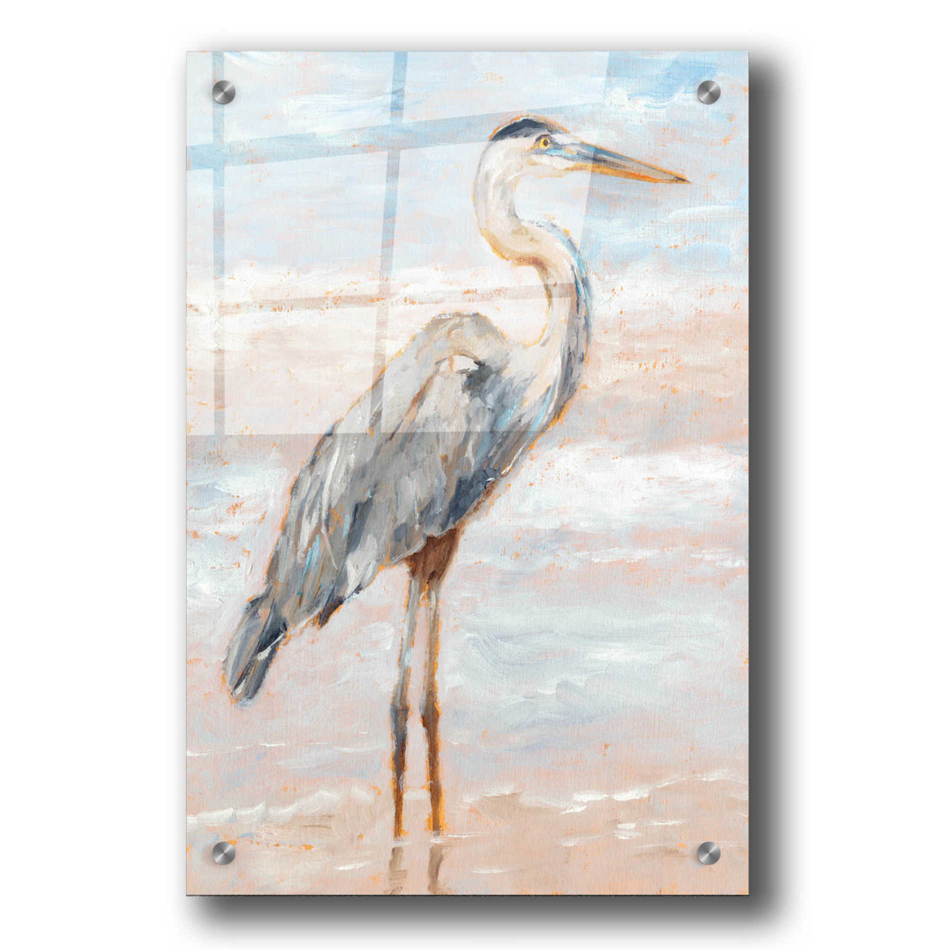 Epic Art "Beach Heron I" by Ethan Harper, Acrylic Glass Wall Art,24x36