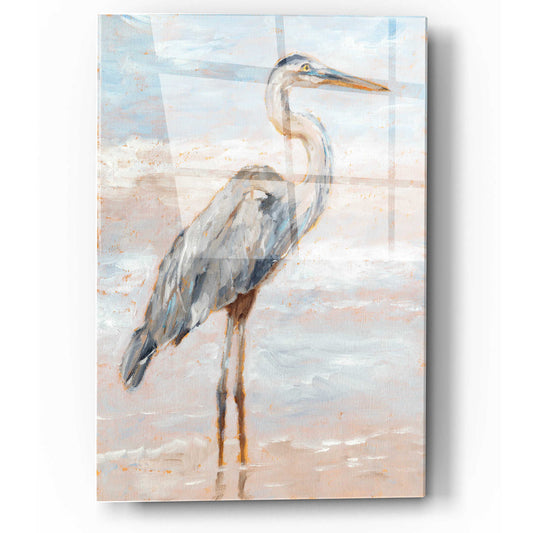 Epic Art "Beach Heron I" by Ethan Harper, Acrylic Glass Wall Art