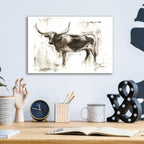 Epic Art "Longhorn Study II" by Ethan Harper, Acrylic Glass Wall Art,16x12
