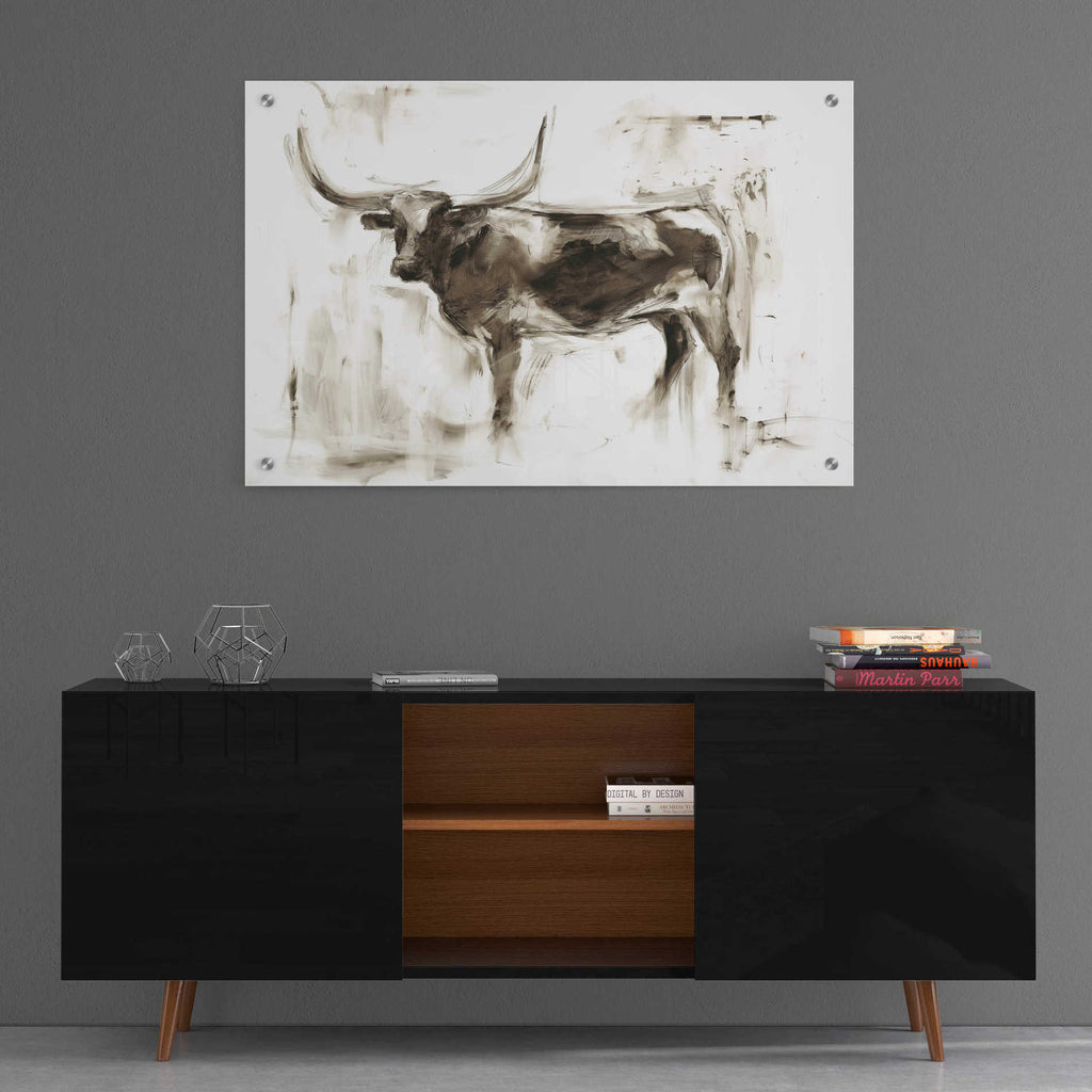 Epic Art "Longhorn Study II" by Ethan Harper, Acrylic Glass Wall Art,36x24