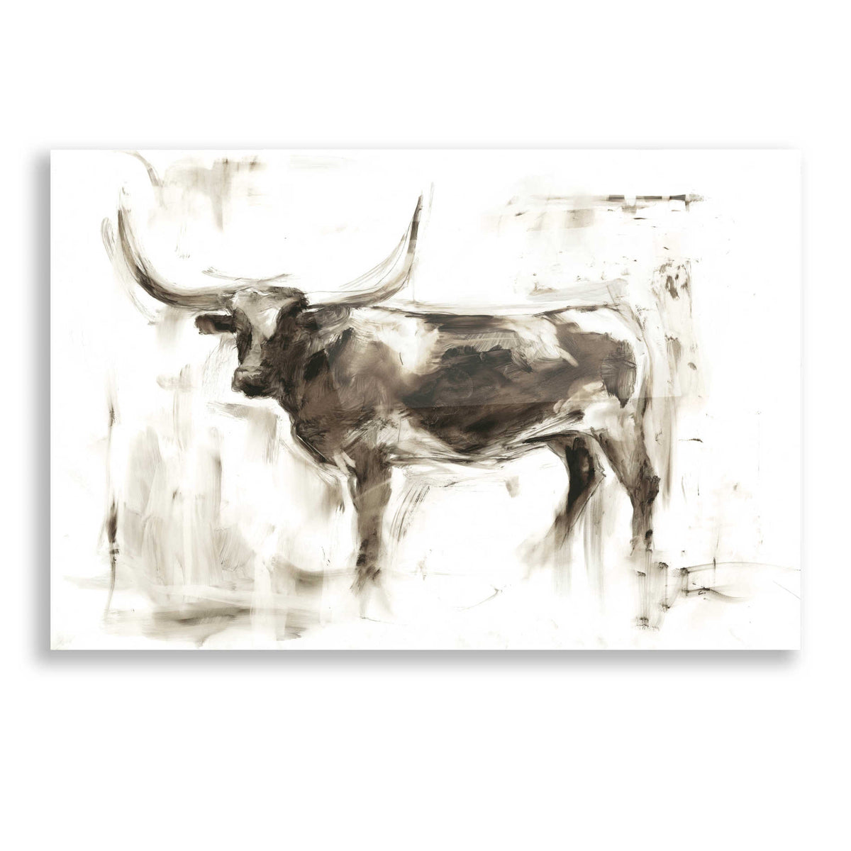 Epic Art "Longhorn Study II" by Ethan Harper, Acrylic Glass Wall Art