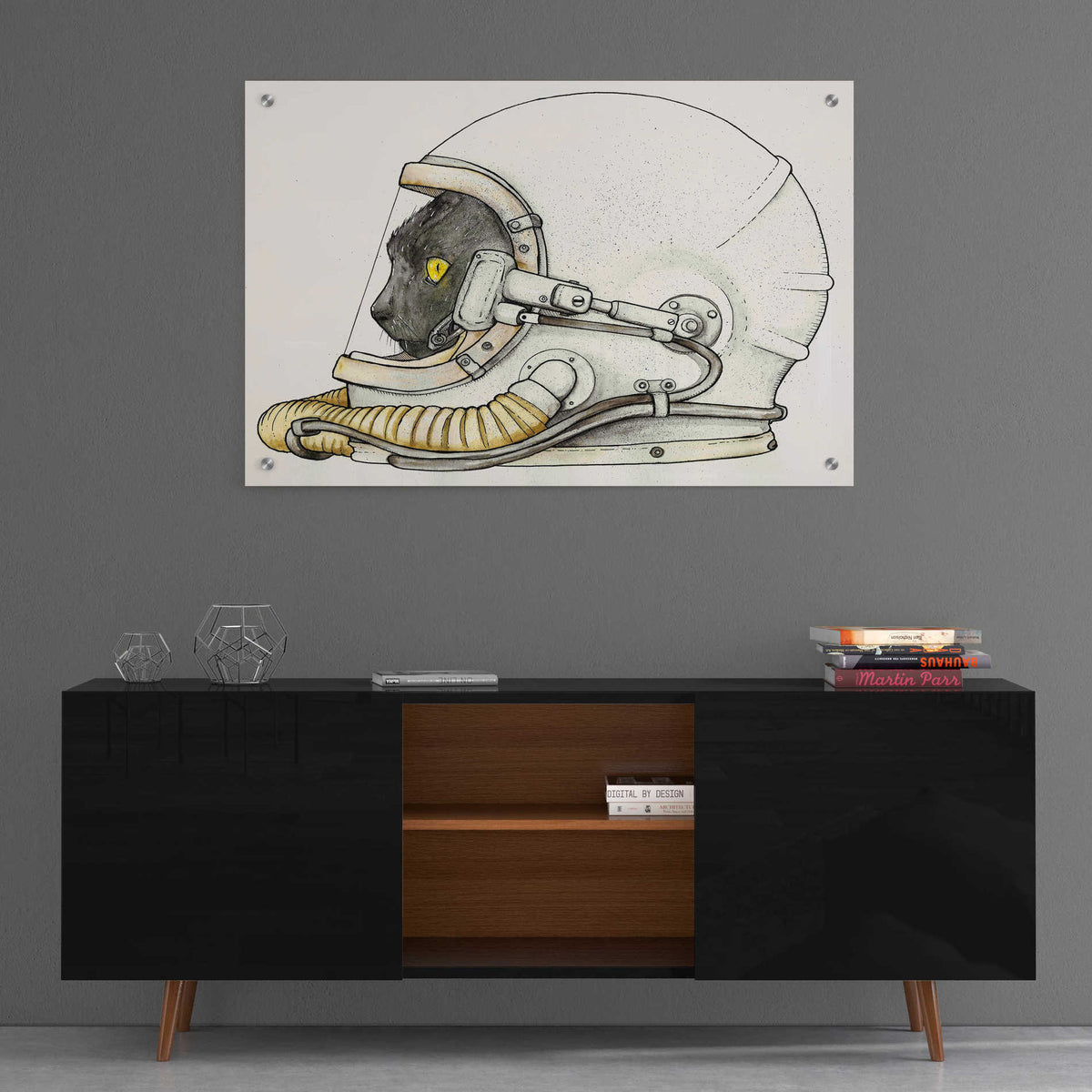 Epic Art 'Space Kitteh II' by Craig Snodgrass, Acrylic Glass Wall Art,36x24