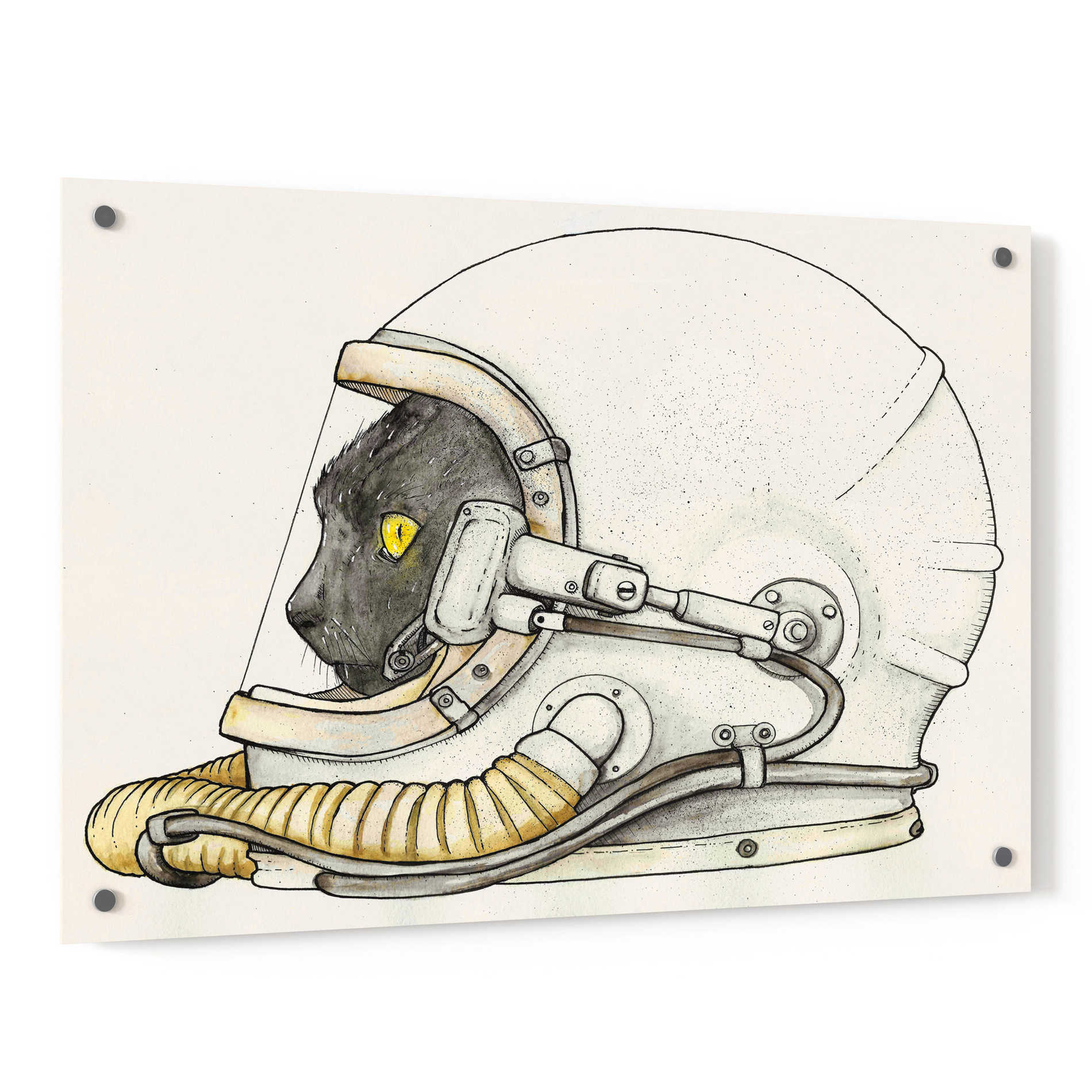 Epic Art 'Space Kitteh II' by Craig Snodgrass, Acrylic Glass Wall Art,36x24
