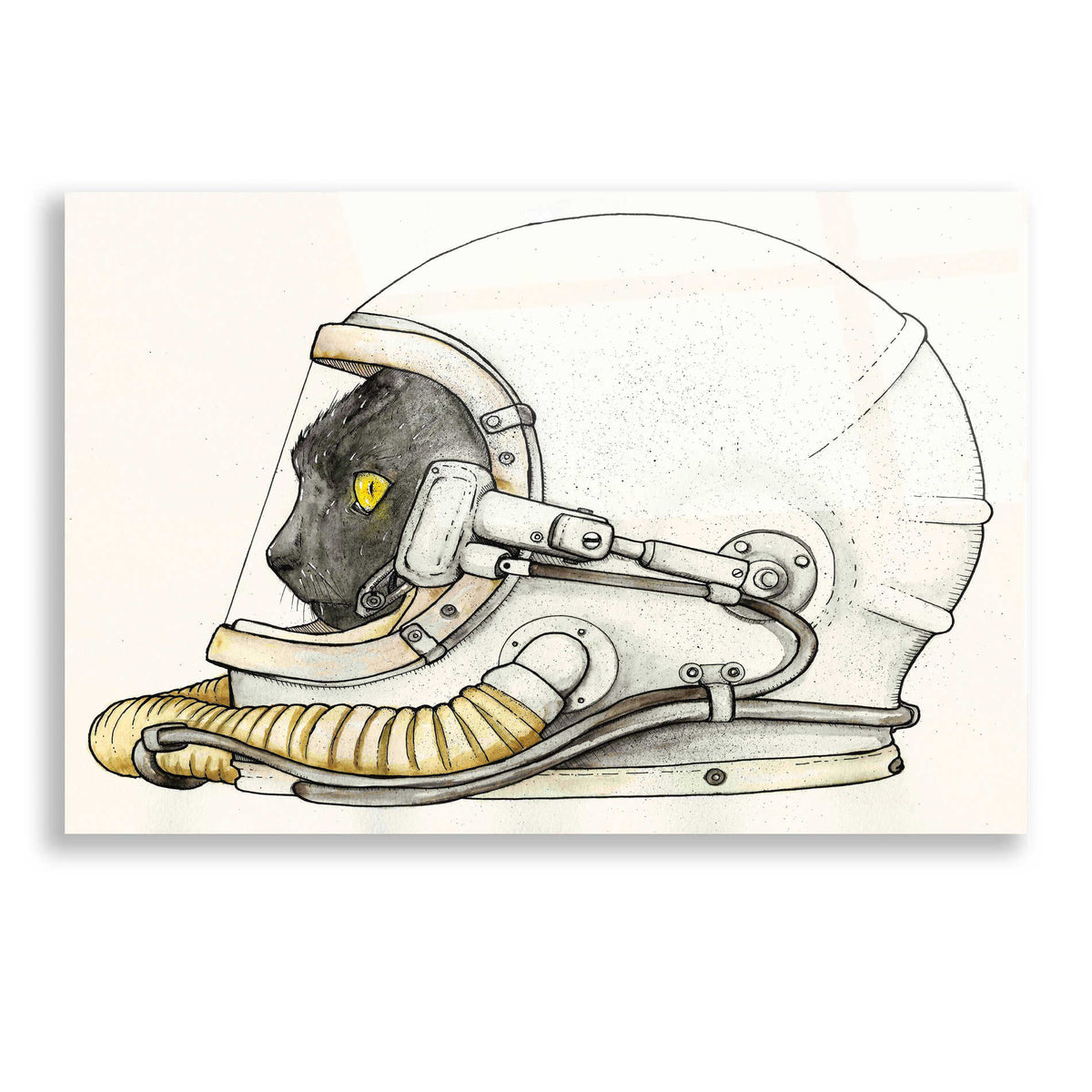 Epic Art 'Space Kitteh II' by Craig Snodgrass, Acrylic Glass Wall Art