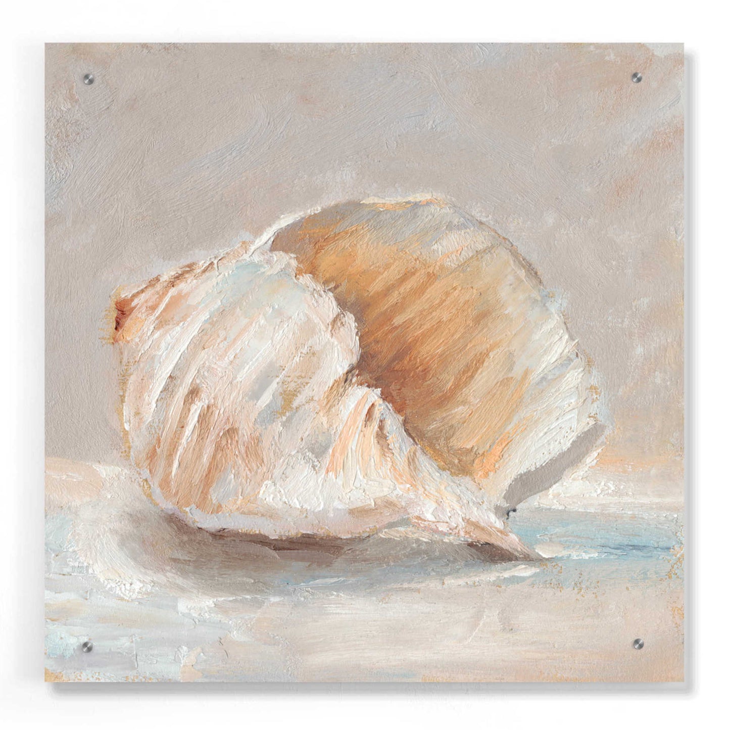 Epic Art "Impressionist Shell Study IV" by Ethan Harper, Acrylic Glass Wall Art,24x24