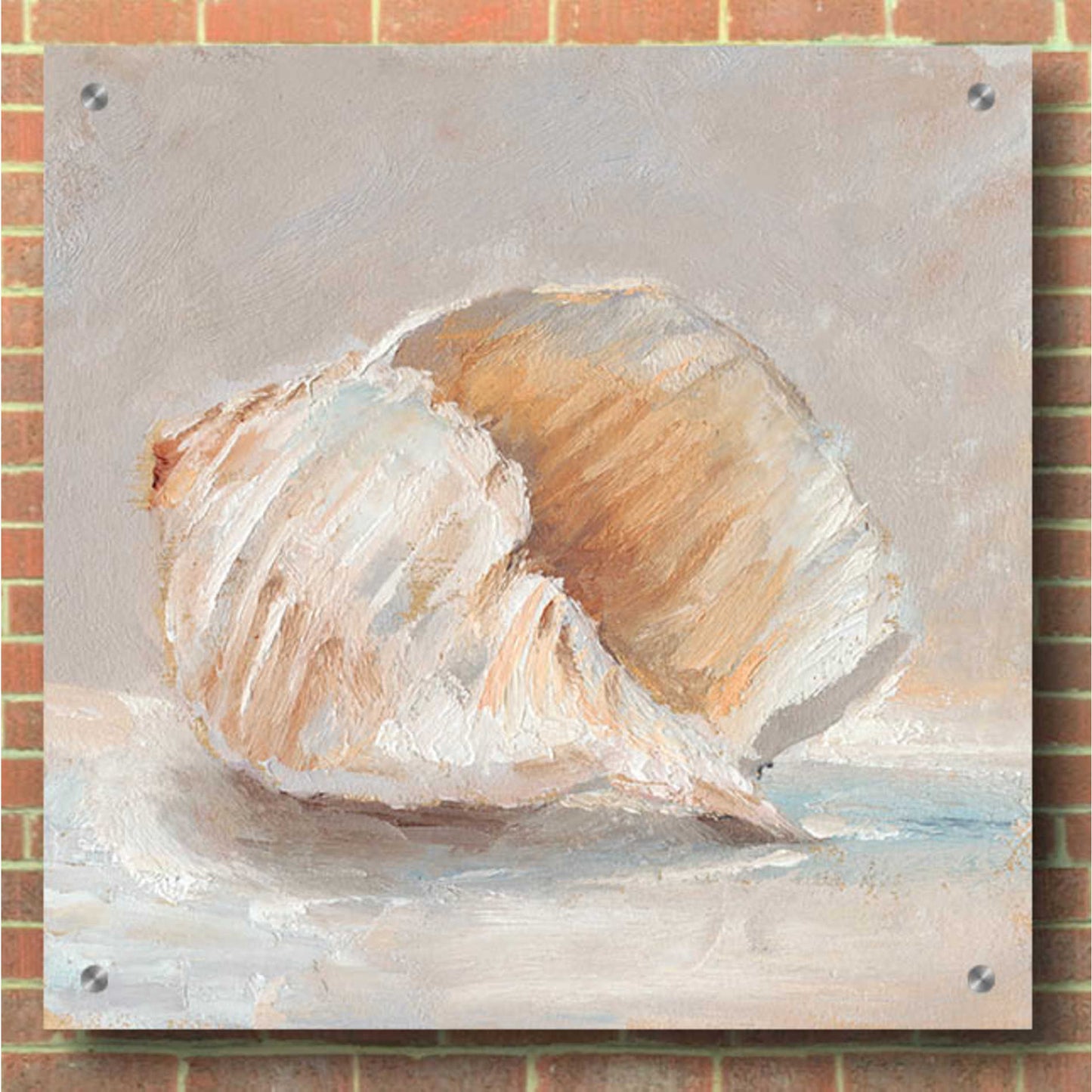 Epic Art "Impressionist Shell Study IV" by Ethan Harper, Acrylic Glass Wall Art,36x36