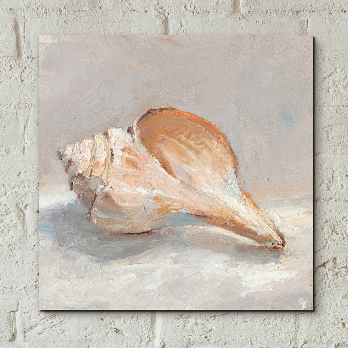 Epic Art "Impressionist Shell Study III" by Ethan Harper, Acrylic Glass Wall Art,12x12