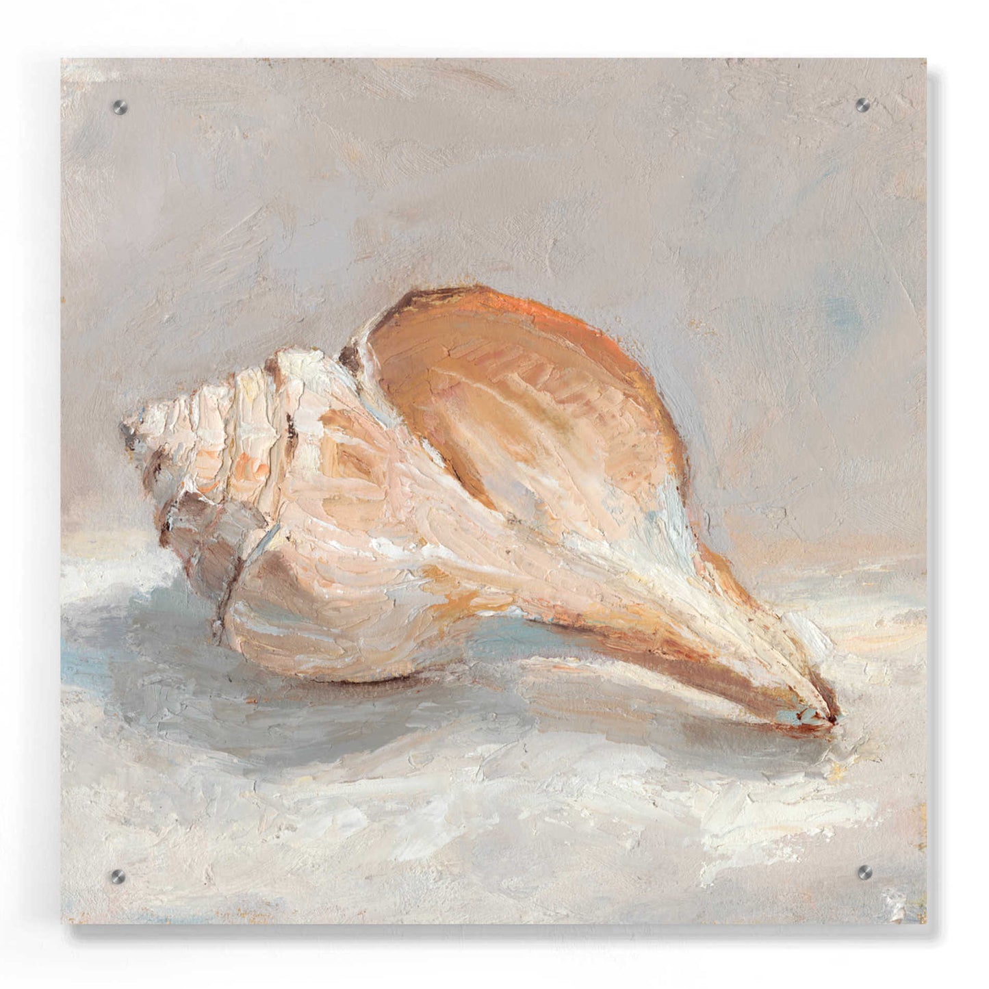 Epic Art "Impressionist Shell Study III" by Ethan Harper, Acrylic Glass Wall Art,24x24