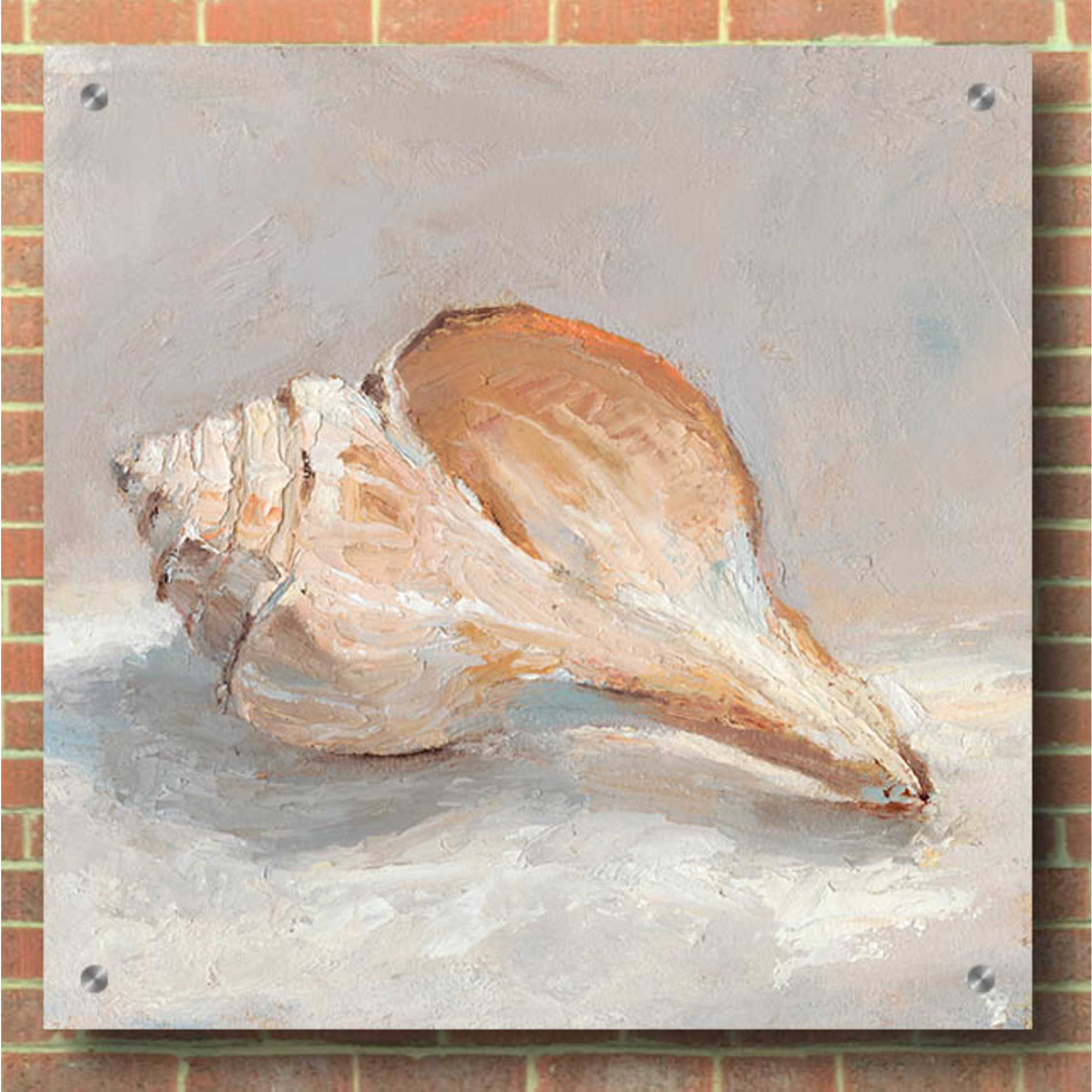 Epic Art "Impressionist Shell Study III" by Ethan Harper, Acrylic Glass Wall Art,36x36