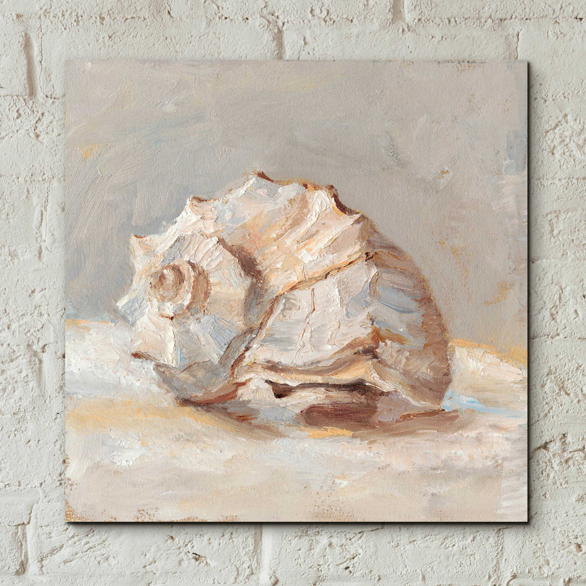 Epic Art "Impressionist Shell Study II" by Ethan Harper, Acrylic Glass Wall Art,12x12