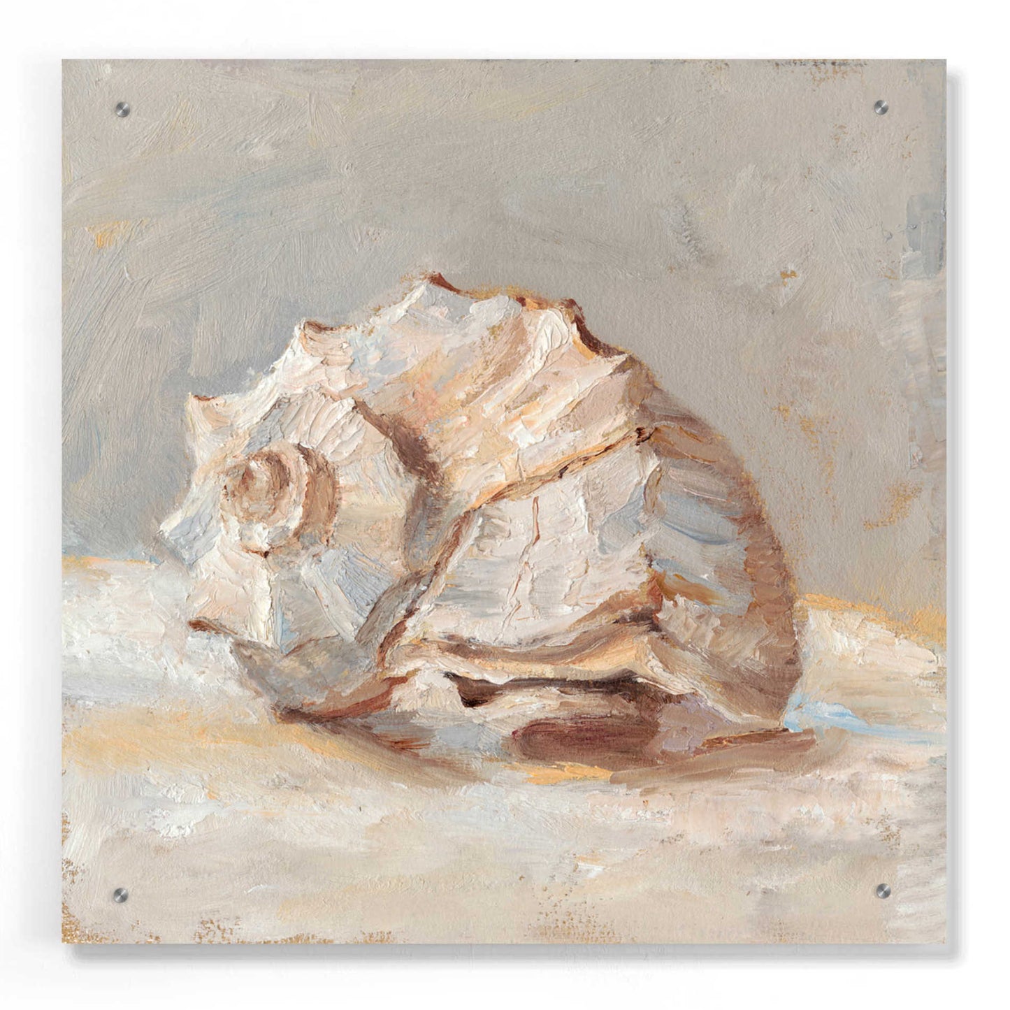 Epic Art "Impressionist Shell Study II" by Ethan Harper, Acrylic Glass Wall Art,24x24