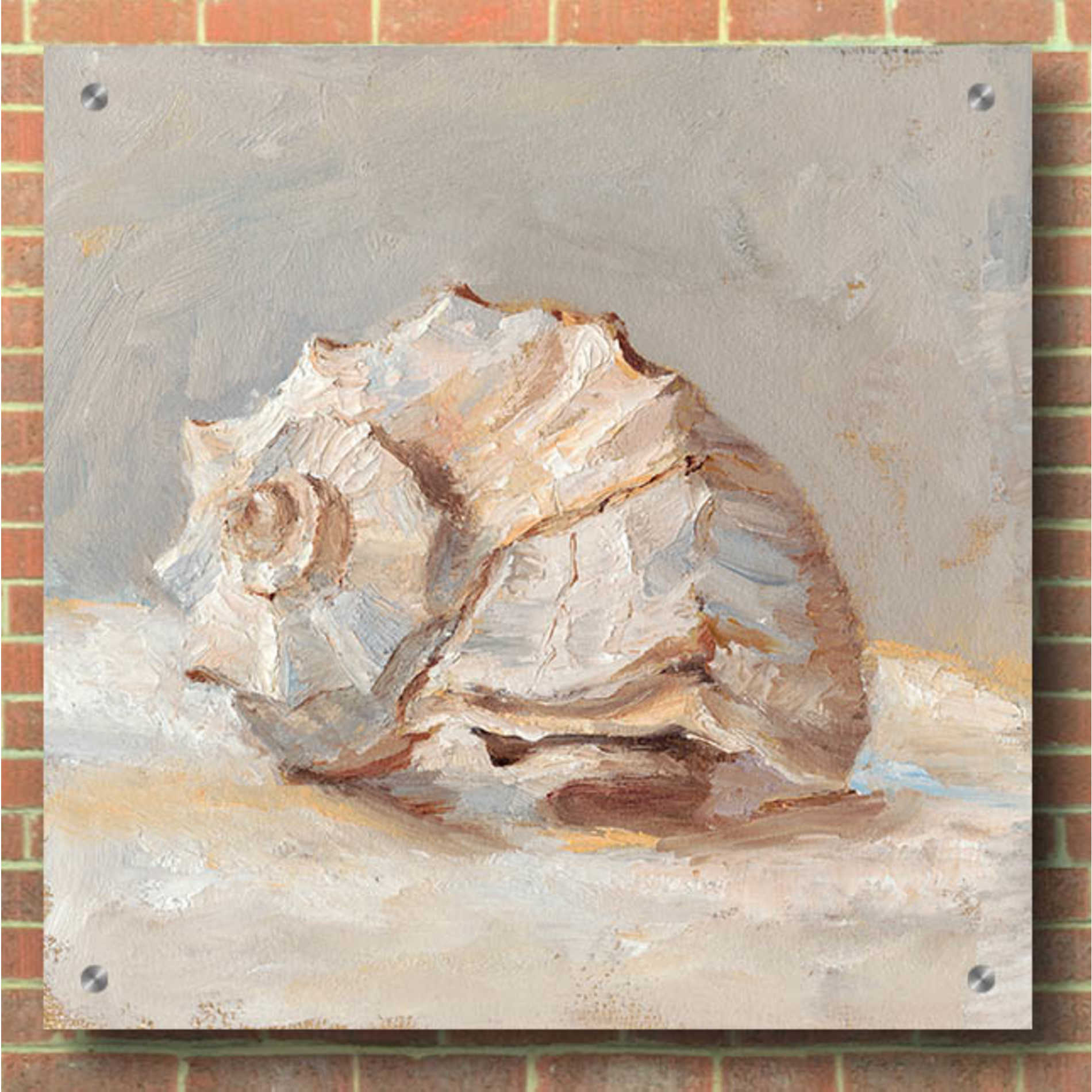 Epic Art "Impressionist Shell Study II" by Ethan Harper, Acrylic Glass Wall Art,36x36