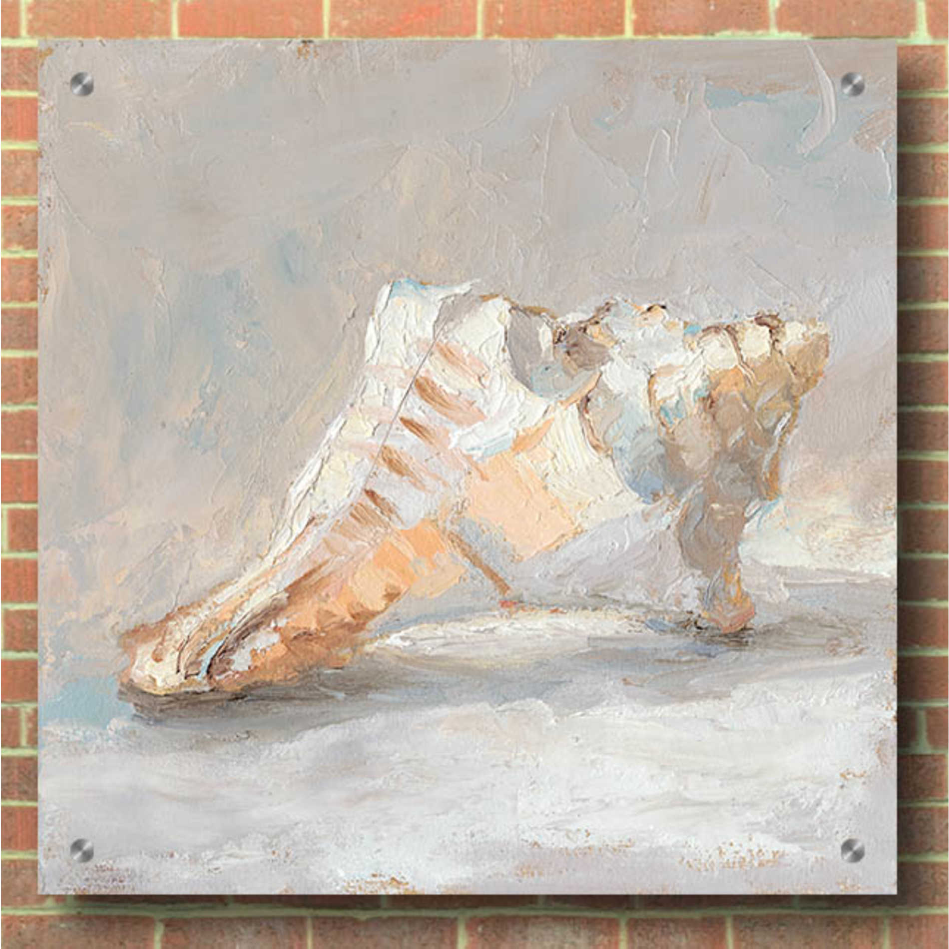 Epic Art "Impressionist Shell Study I" by Ethan Harper, Acrylic Glass Wall Art,36x36