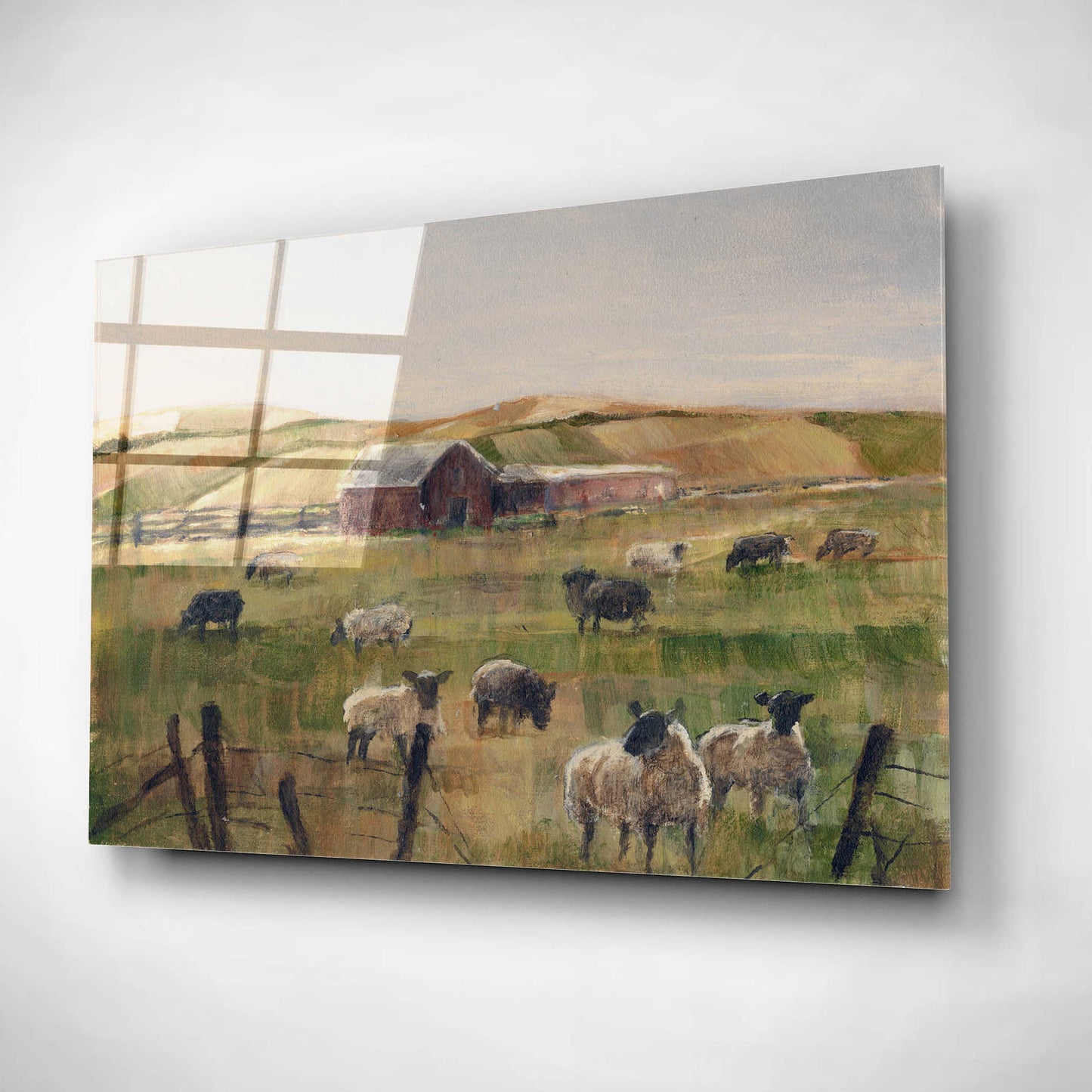Epic Art "Grazing Sheep II" by Ethan Harper, Acrylic Glass Wall Art,24x16