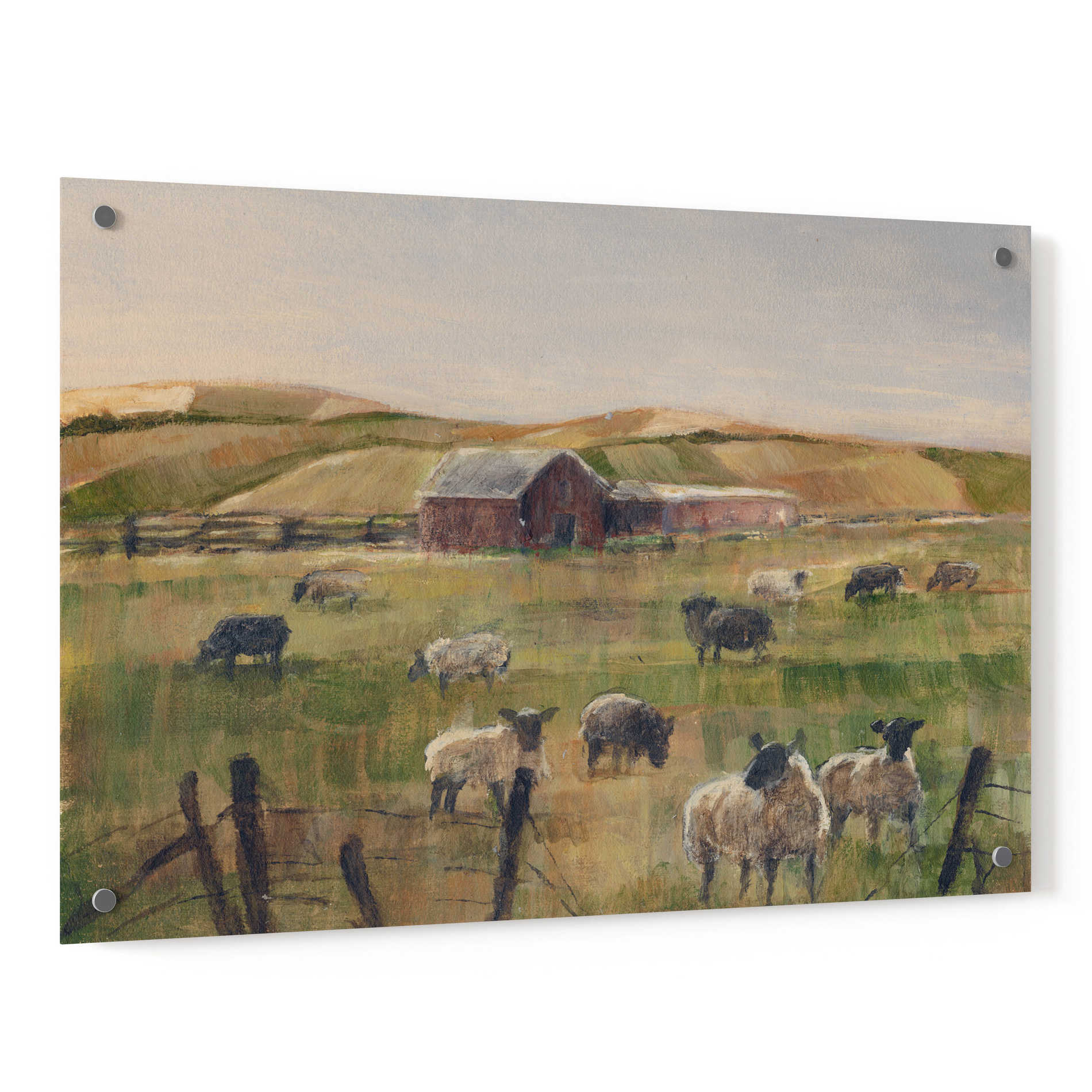 Epic Art "Grazing Sheep II" by Ethan Harper, Acrylic Glass Wall Art,36x24