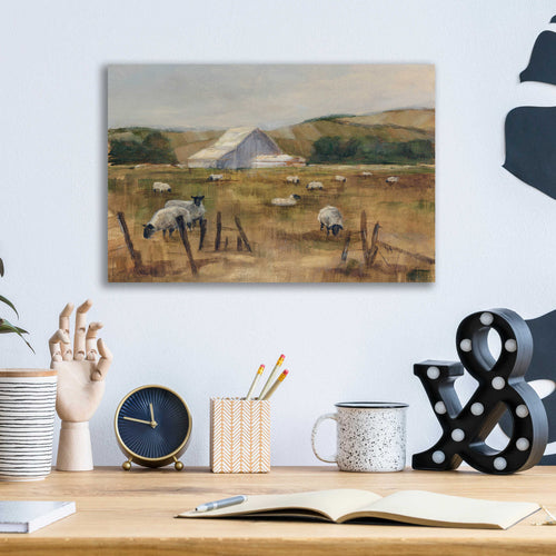 Epic Art "Grazing Sheep I" by Ethan Harper, Acrylic Glass Wall Art,16x12