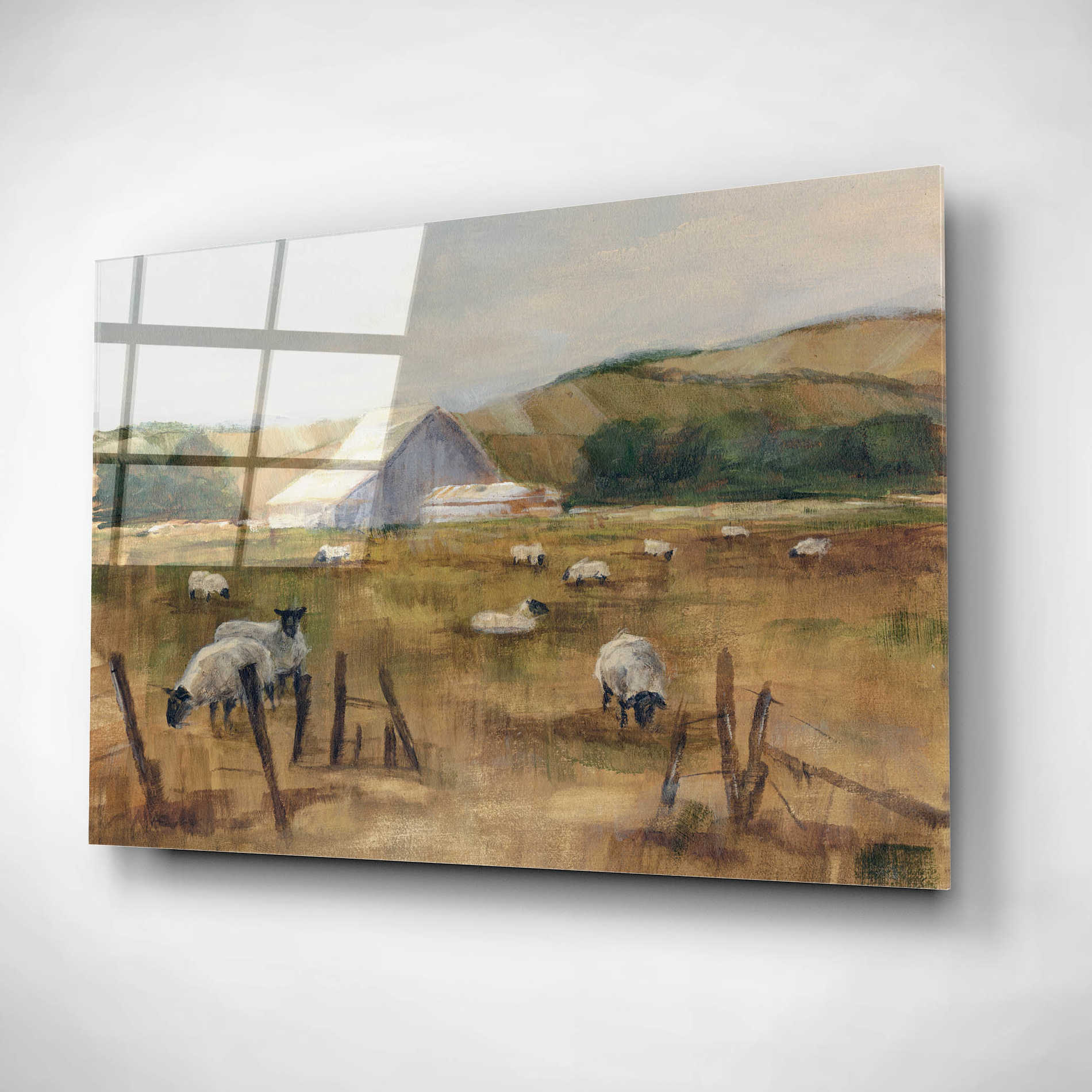 Epic Art "Grazing Sheep I" by Ethan Harper, Acrylic Glass Wall Art,24x16