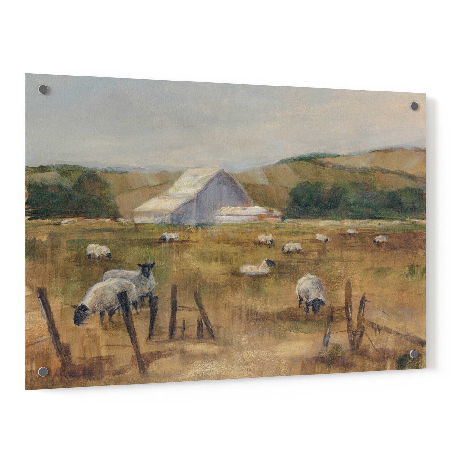 Epic Art "Grazing Sheep I" by Ethan Harper, Acrylic Glass Wall Art,36x24