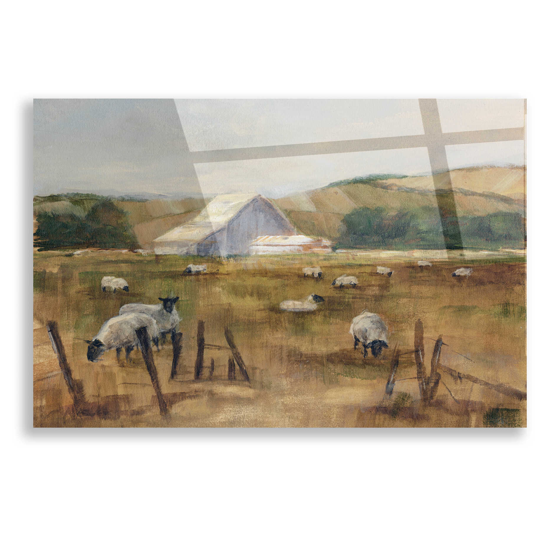 Epic Art "Grazing Sheep I" by Ethan Harper, Acrylic Glass Wall Art