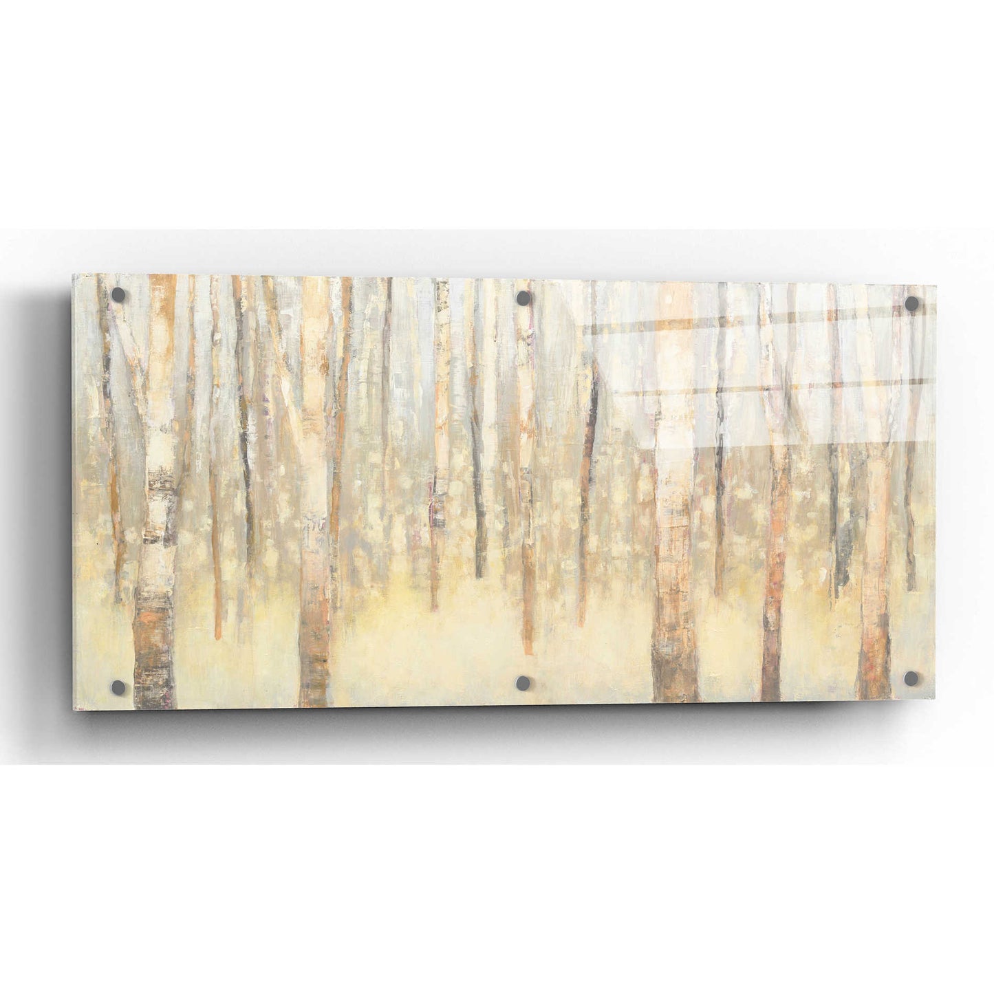 Epic Art 'Birches in Winter' by Julia Purinton, Acrylic Glass Wall Art,24x12