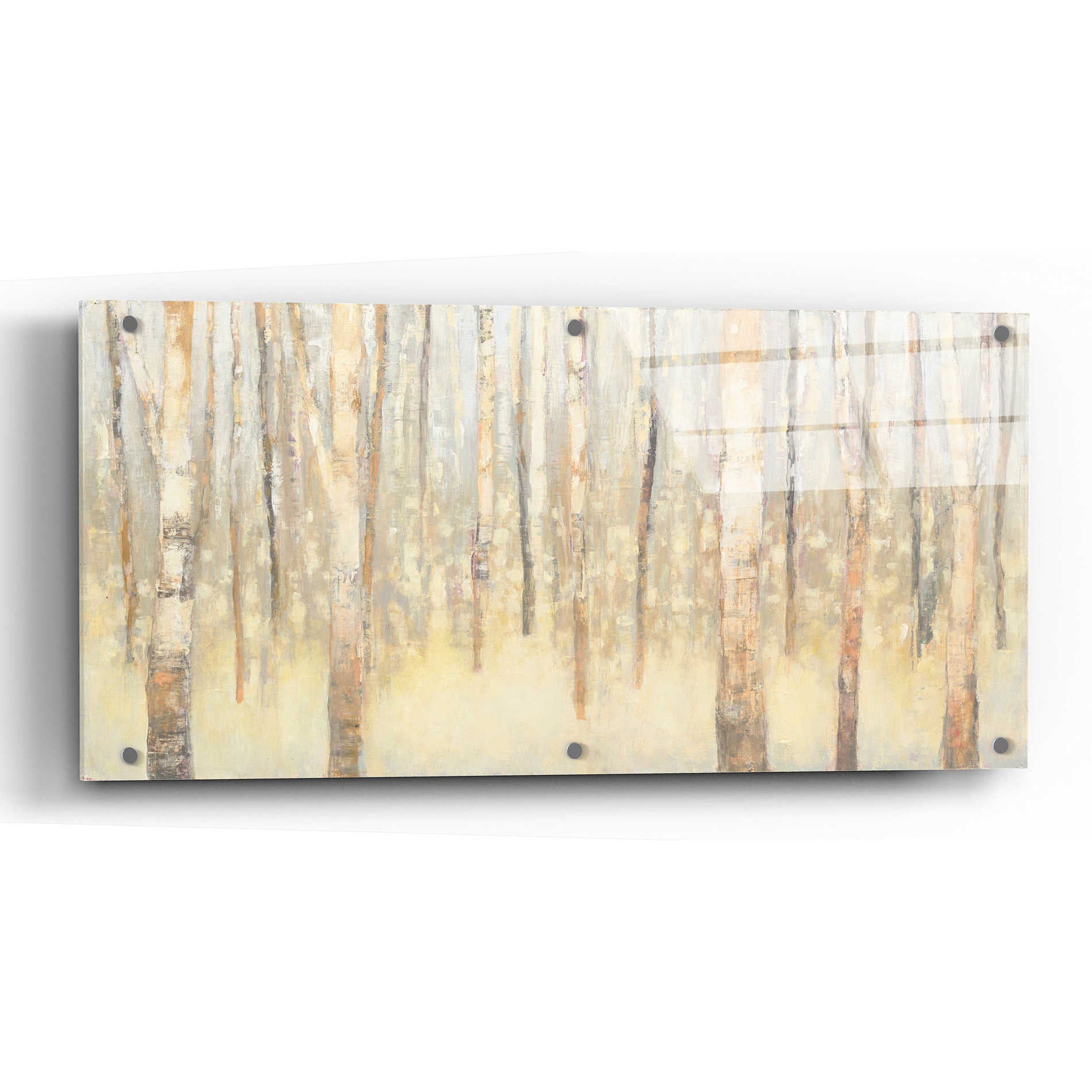 Epic Art 'Birches in Winter' by Julia Purinton, Acrylic Glass Wall Art,48x24