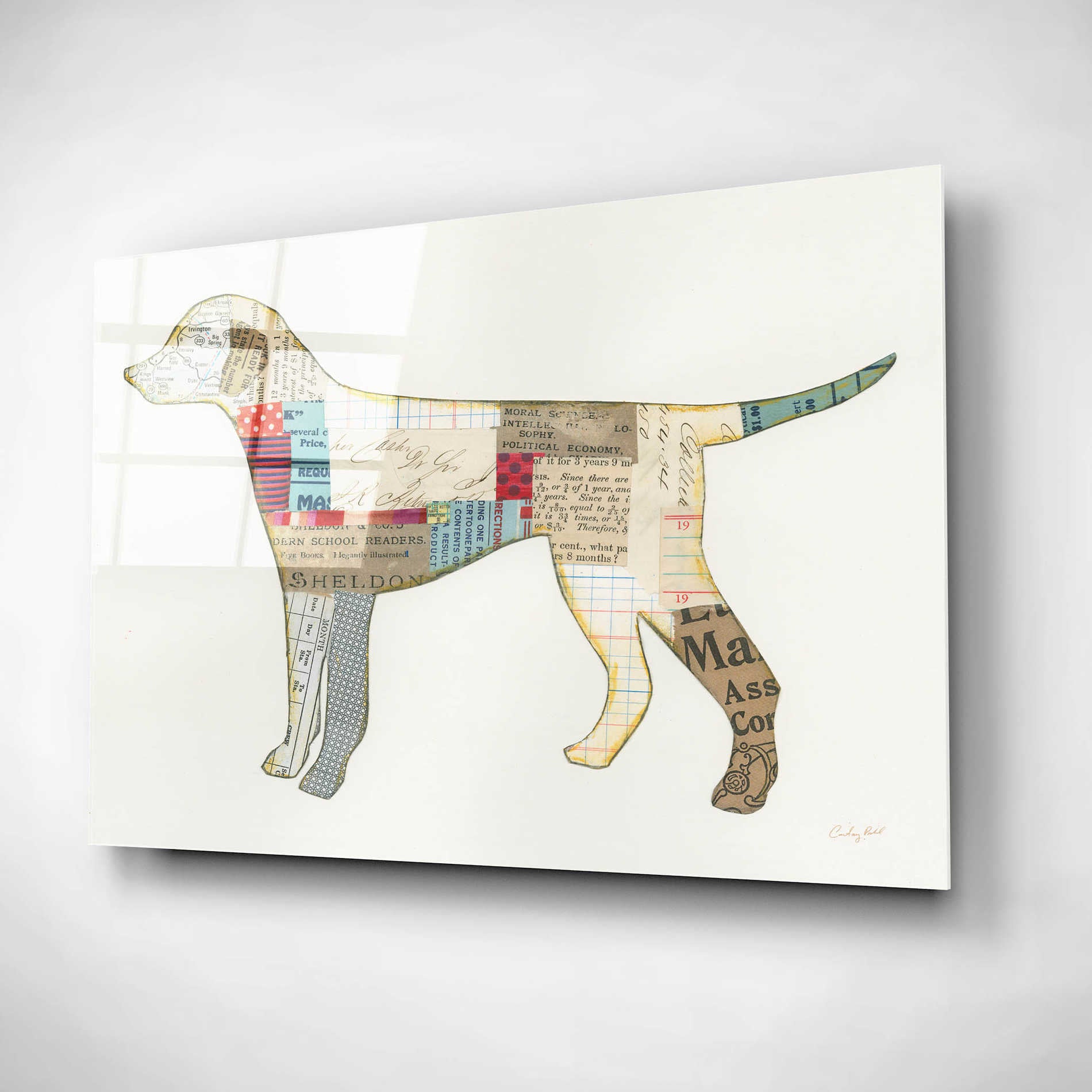 Epic Art 'Good Dog II' by Courtney Prahl, Acrylic Glass Wall Art,24x16
