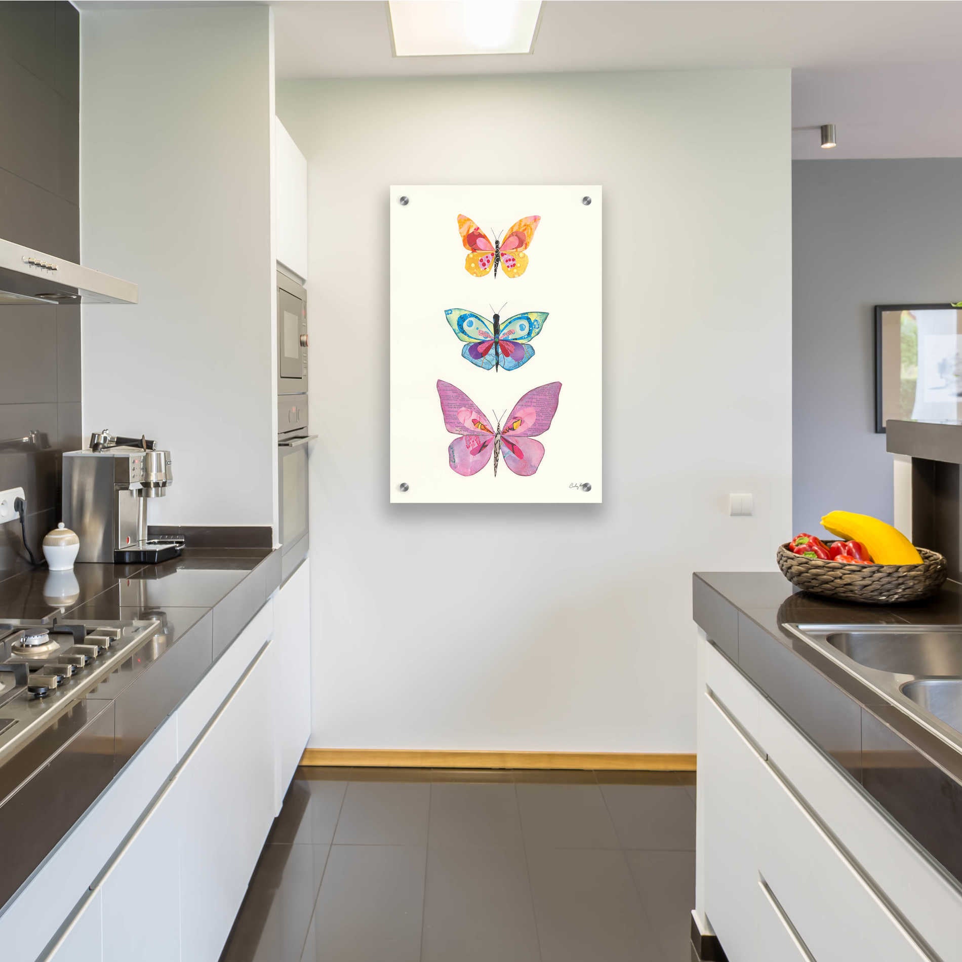 Epic Art 'Butterfly Charts III' by Courtney Prahl, Acrylic Glass Wall Art,24x36