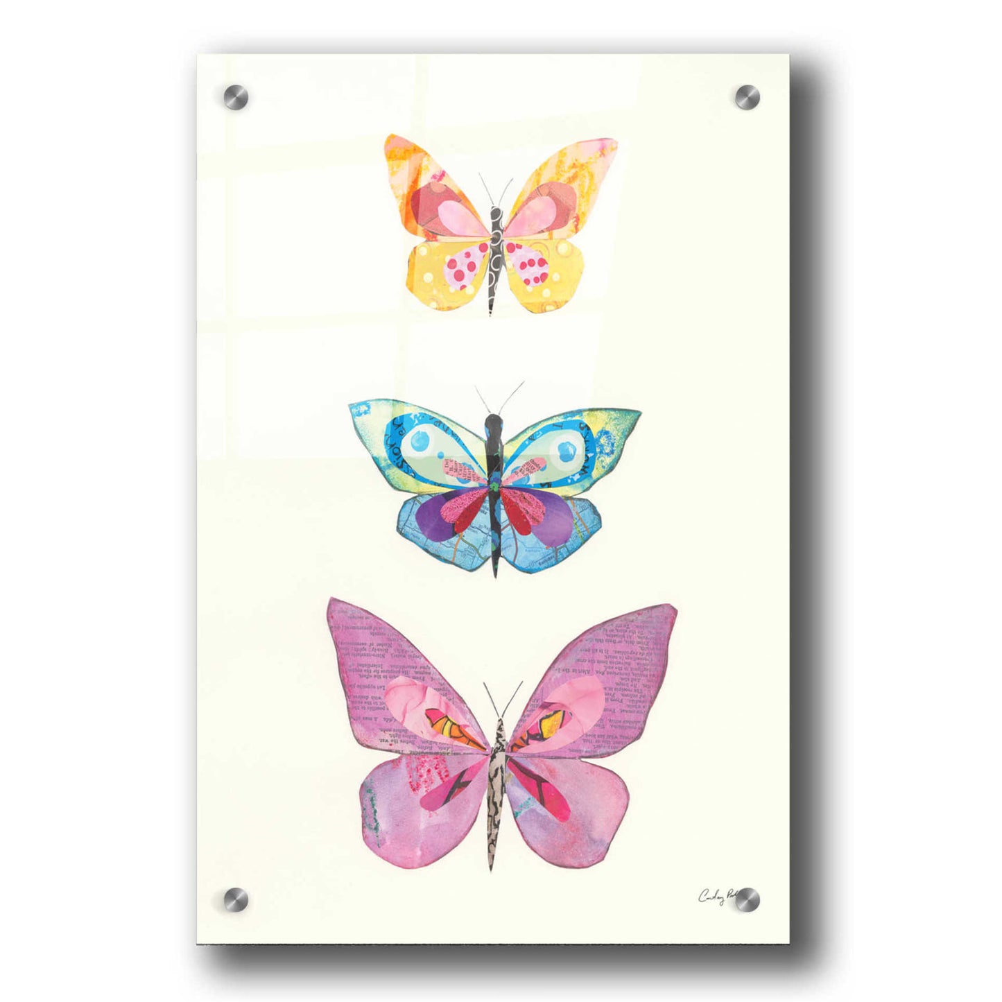 Epic Art 'Butterfly Charts III' by Courtney Prahl, Acrylic Glass Wall Art,24x36