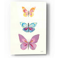 Epic Art 'Butterfly Charts III' by Courtney Prahl, Acrylic Glass Wall Art