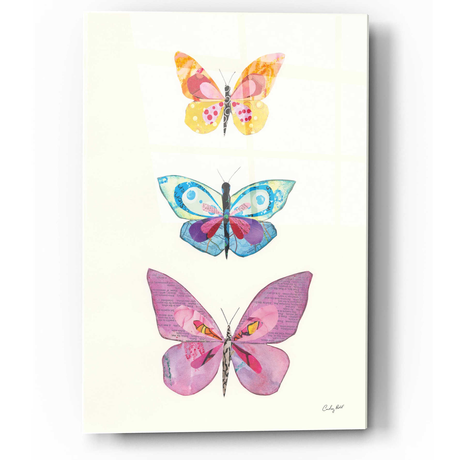 Epic Art 'Butterfly Charts III' by Courtney Prahl, Acrylic Glass Wall Art