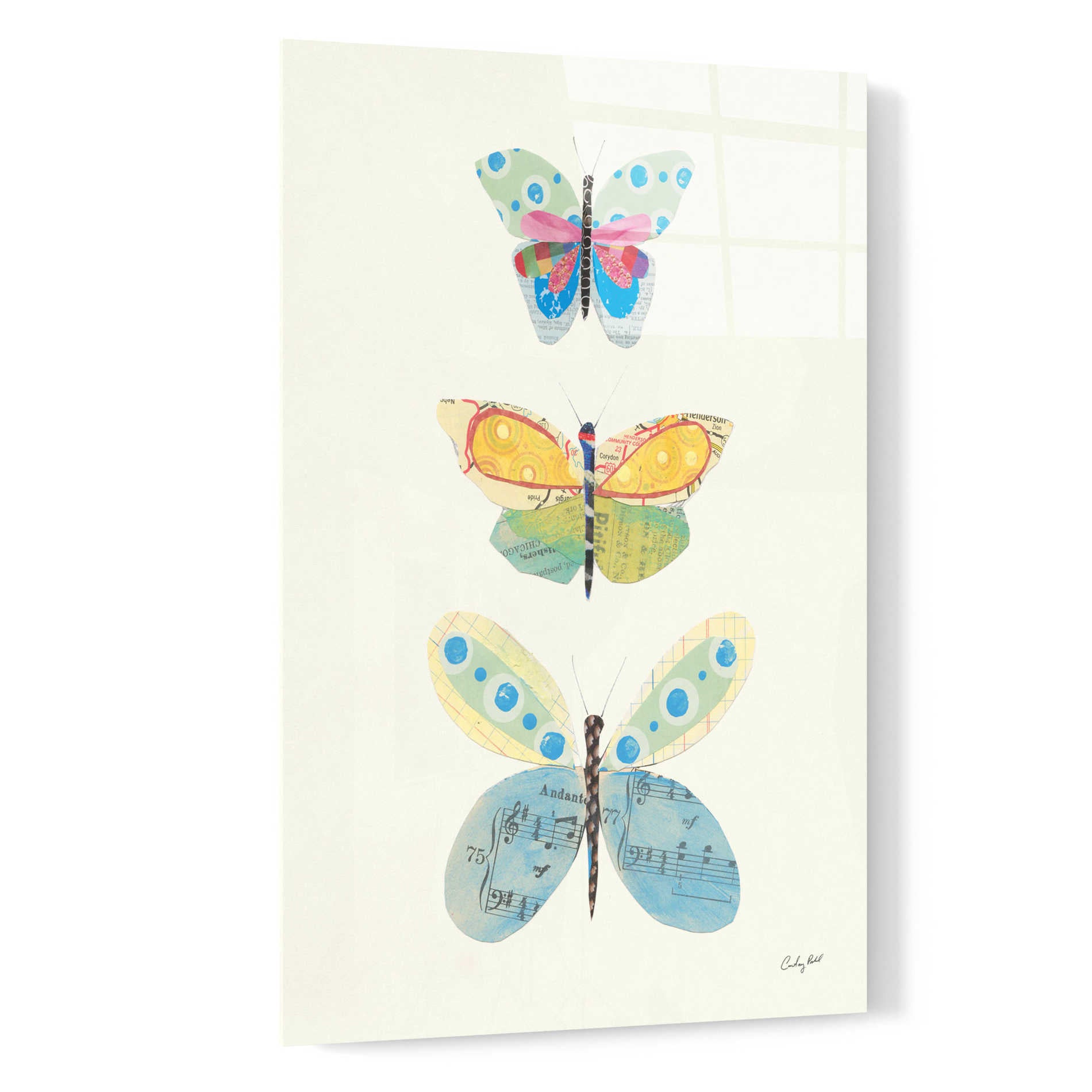 Epic Art 'Butterfly Charts IV' by Courtney Prahl, Acrylic Glass Wall Art,16x24