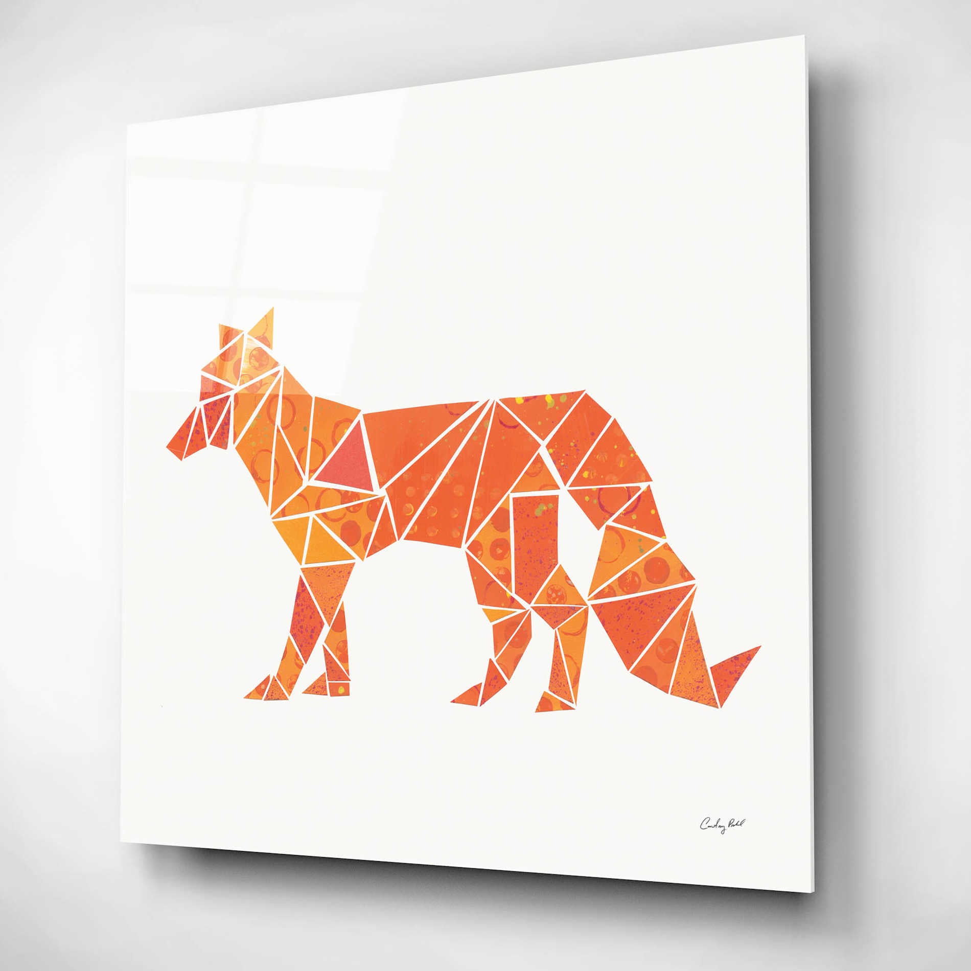 Epic Art 'Geometric Animal II' by Courtney Prahl, Acrylic Glass Wall Art,12x12