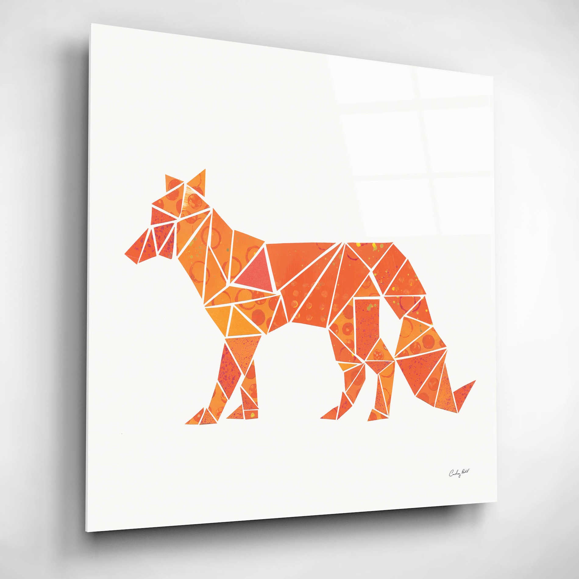 Epic Art 'Geometric Animal II' by Courtney Prahl, Acrylic Glass Wall Art,12x12