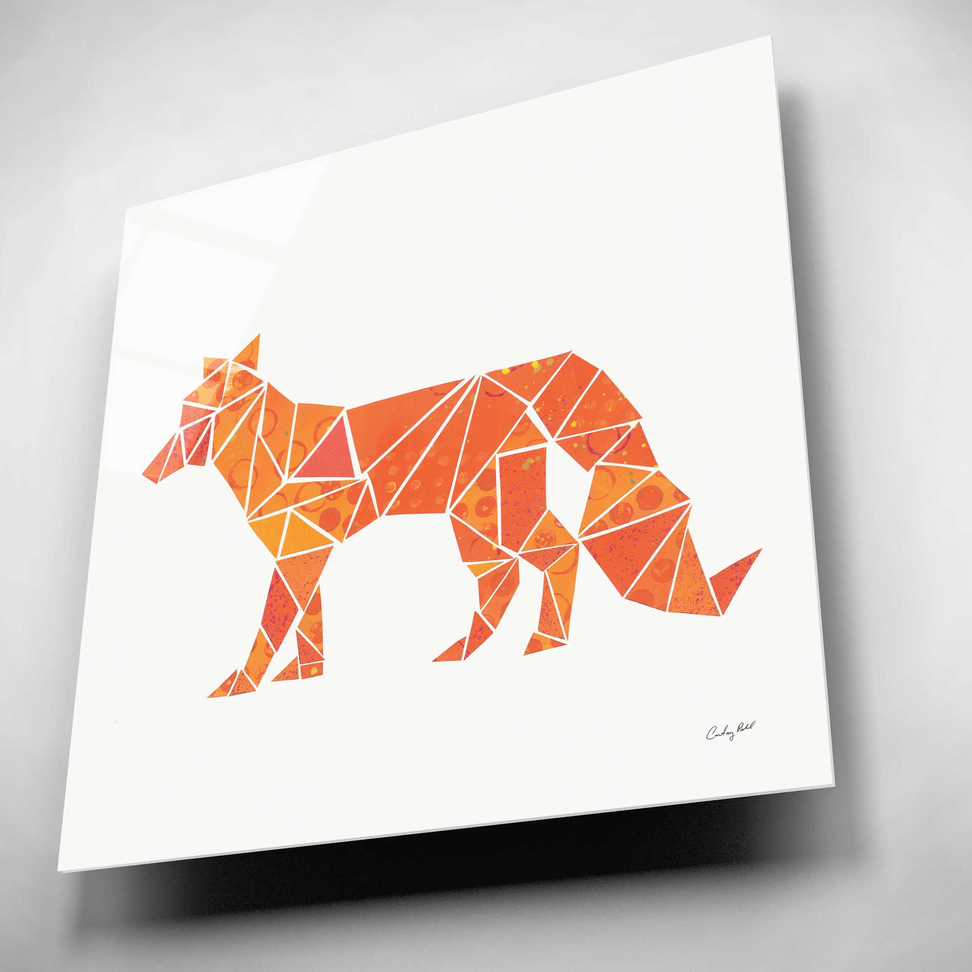 Epic Art 'Geometric Animal II' by Courtney Prahl, Acrylic Glass Wall Art,12x12