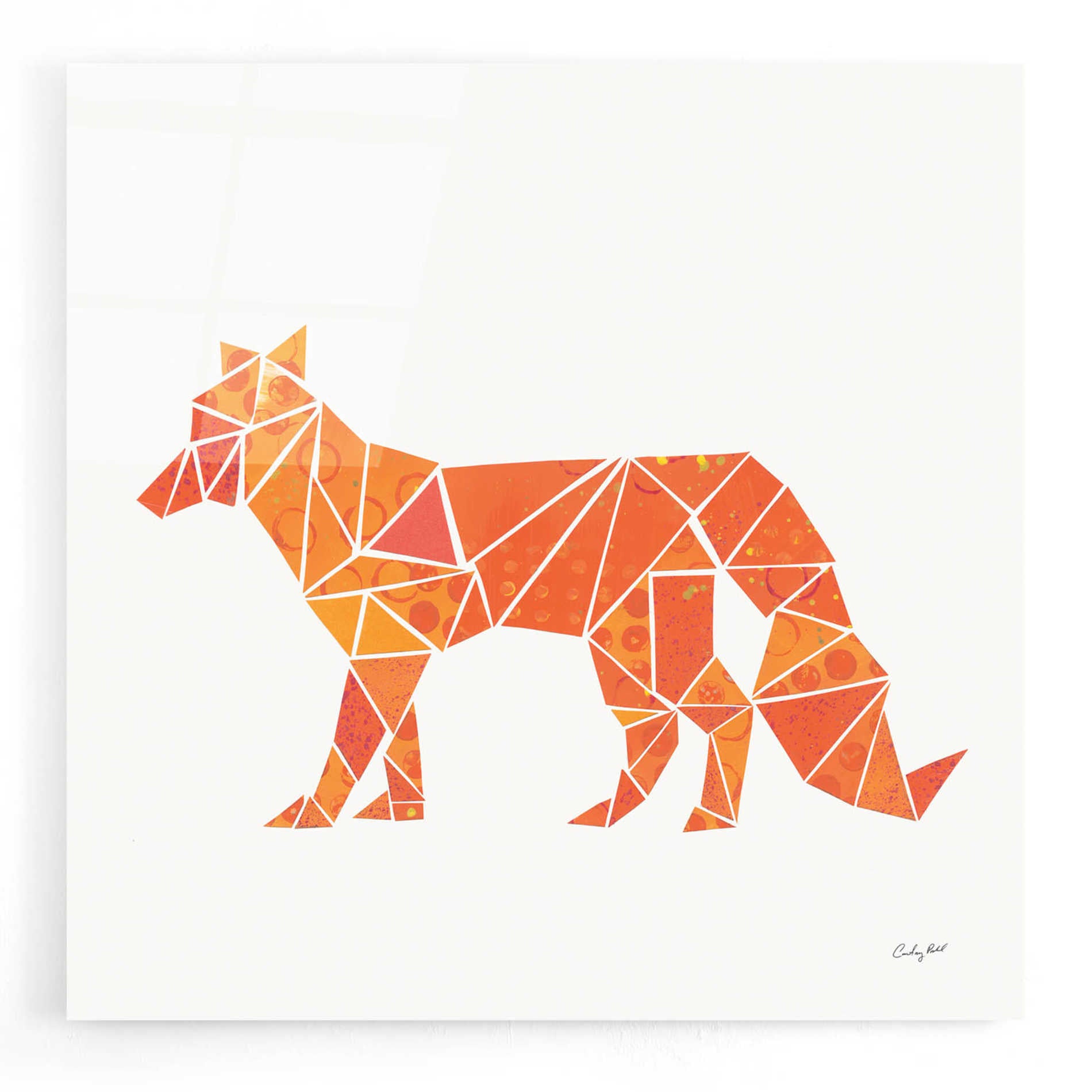 Epic Art 'Geometric Animal II' by Courtney Prahl, Acrylic Glass Wall Art,12x12