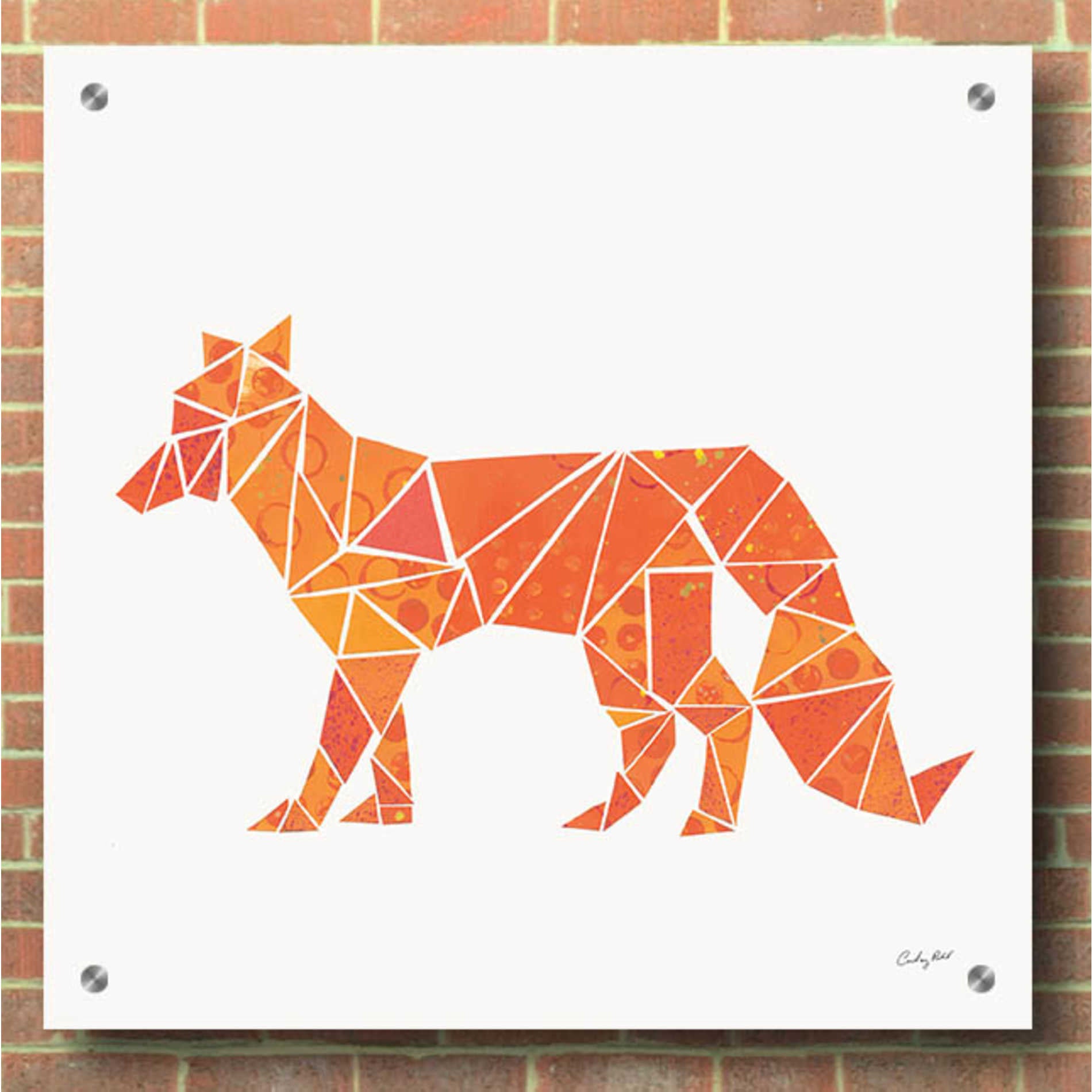 Epic Art 'Geometric Animal II' by Courtney Prahl, Acrylic Glass Wall Art,36x36